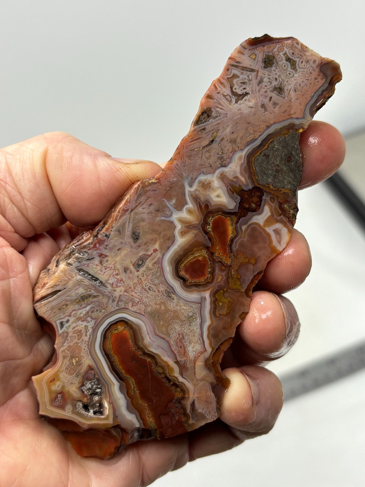Turkish Stick Agate slab Cabbing Lapidary Collecting Combo Ship avail