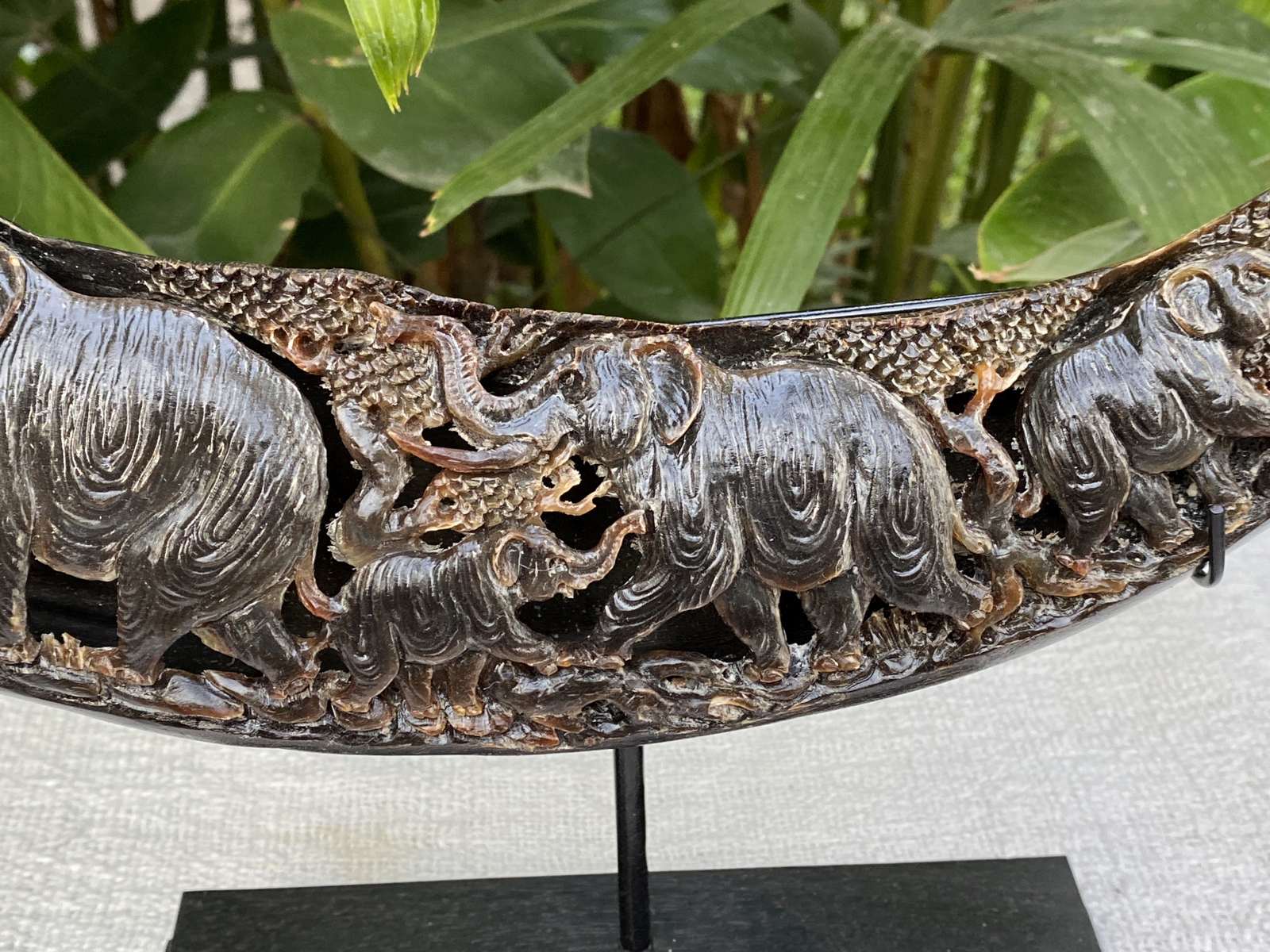 Carved Buffalo Horn Waterbuffalo Bone Carving Horn Carving Elephant Horn Carving