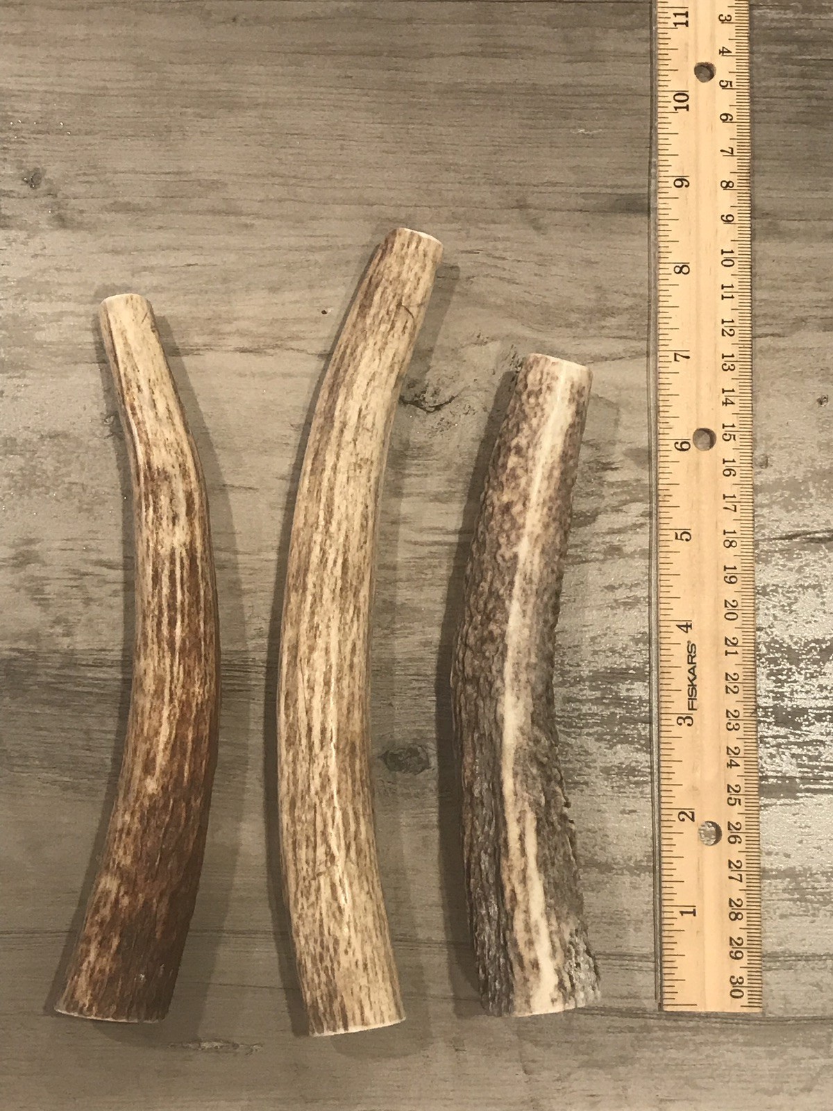 LARGE Elk/Deer Antler Premium Dog Chew (1pc) **OREGON ANTLER WORKS**