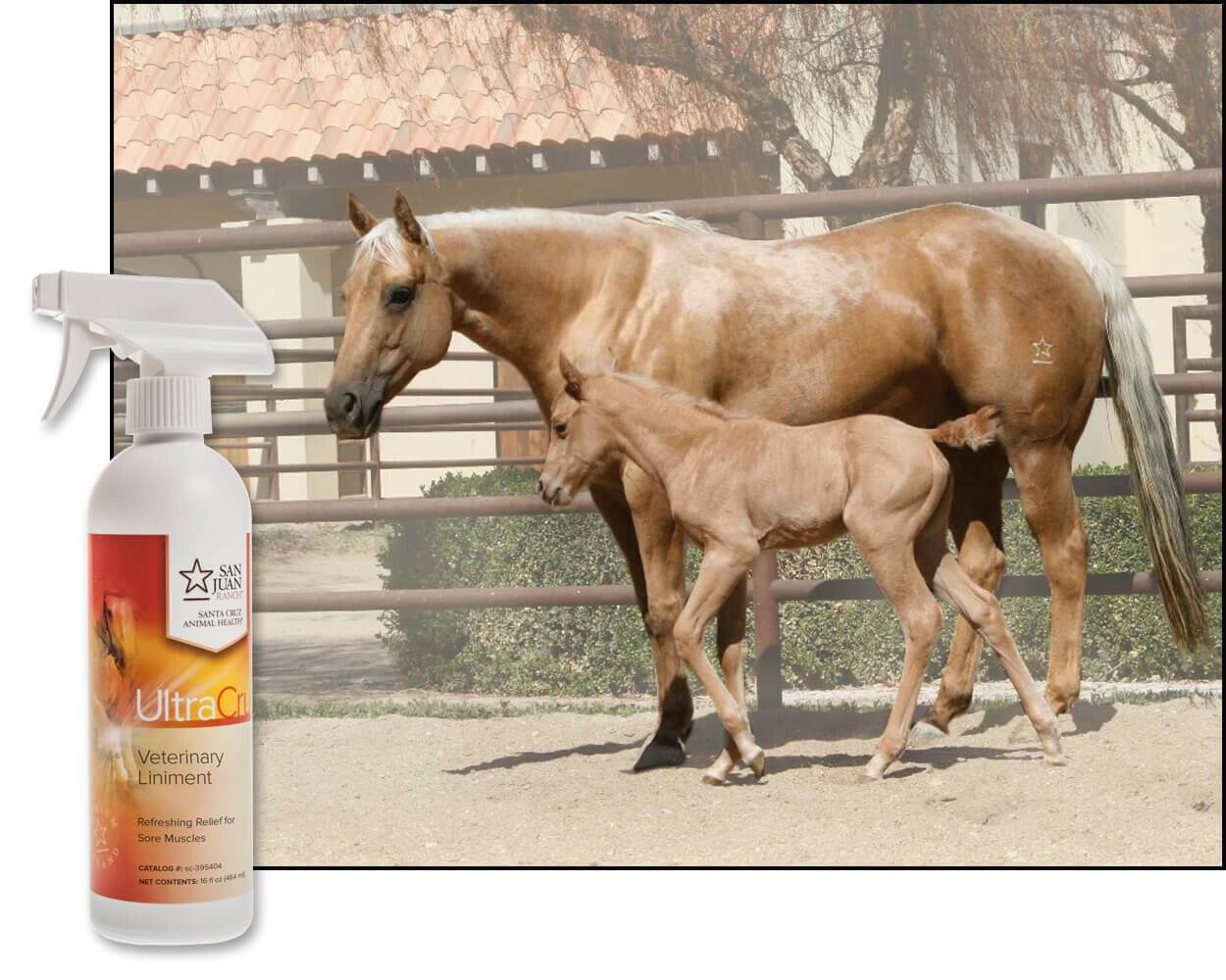 UltraCruz Veterinary Liniment Spray for Horses, 16 oz