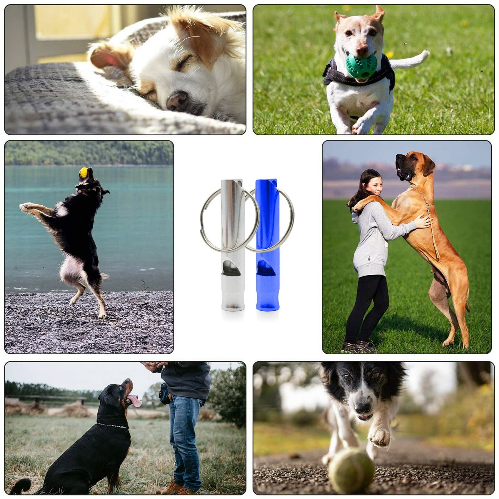 Stainless Steel Dog Training WHISTLE High Pitch Sound Obedience Stop Barking Pet