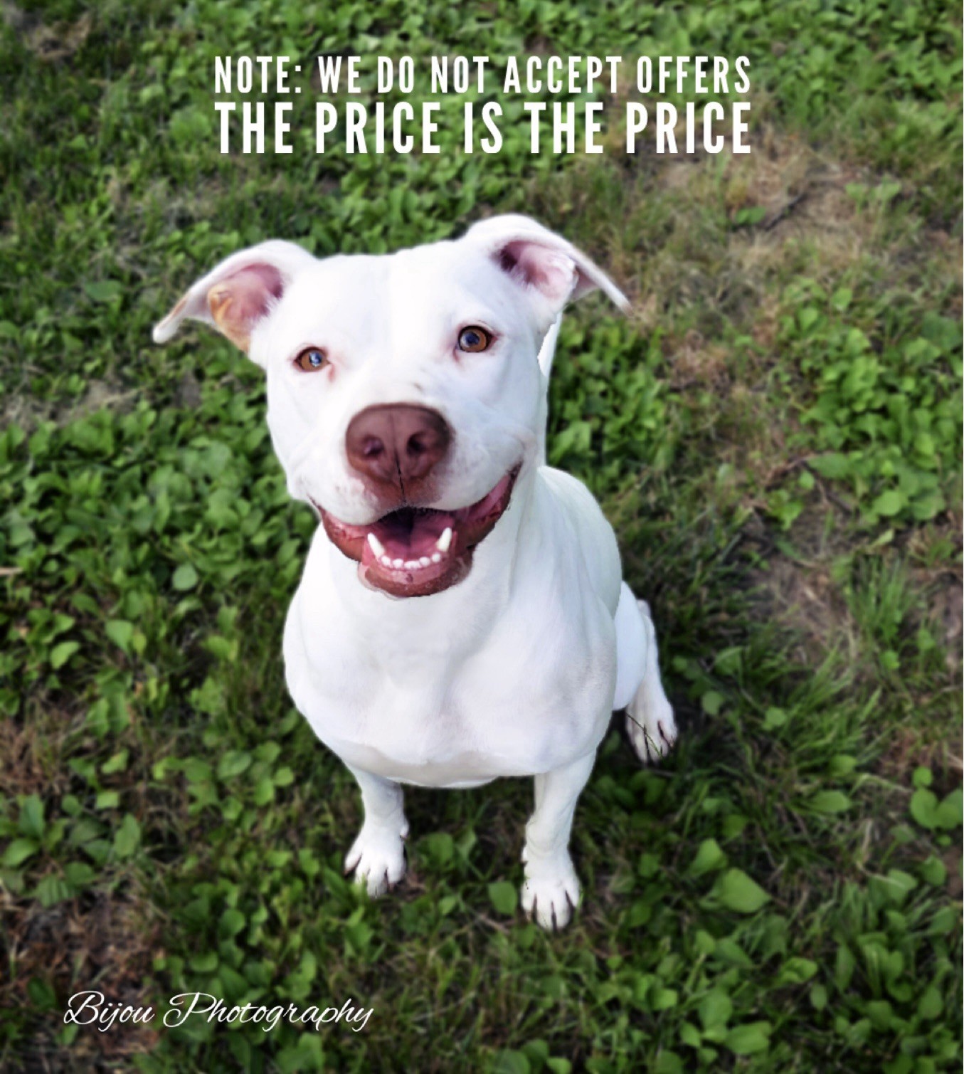 Glock 43 Factory OEM Stripped Slide w/ Sights USA Fit Model G43 43X or 48