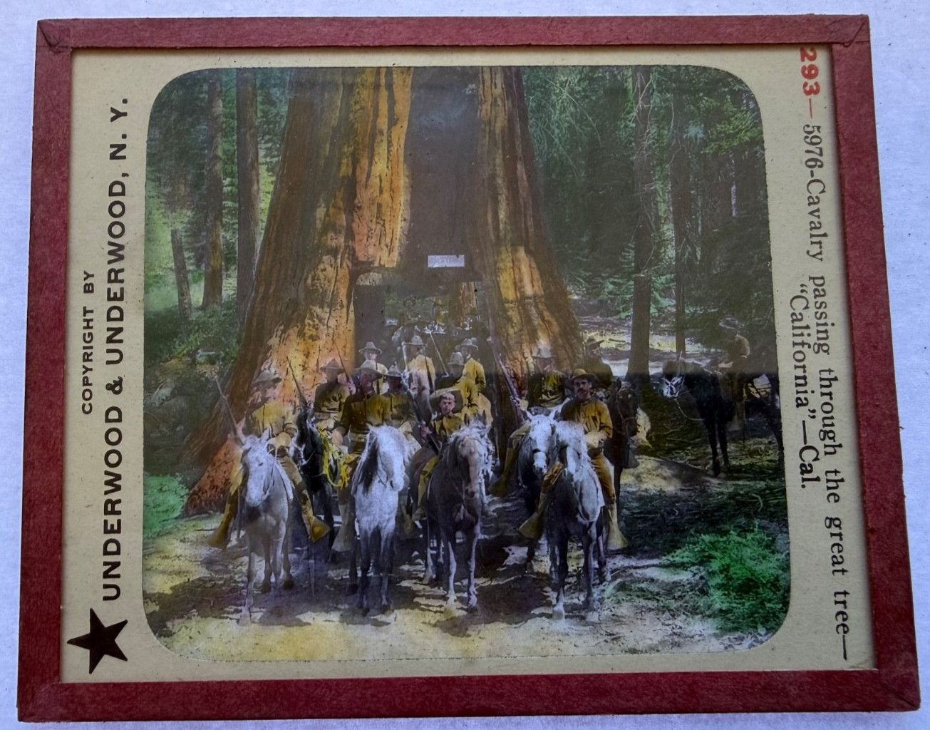 MAGIC LANTERN SLIDE CAVALRY PASSING THROUGH THE GREAT TREE CA 1900 COLORED 293