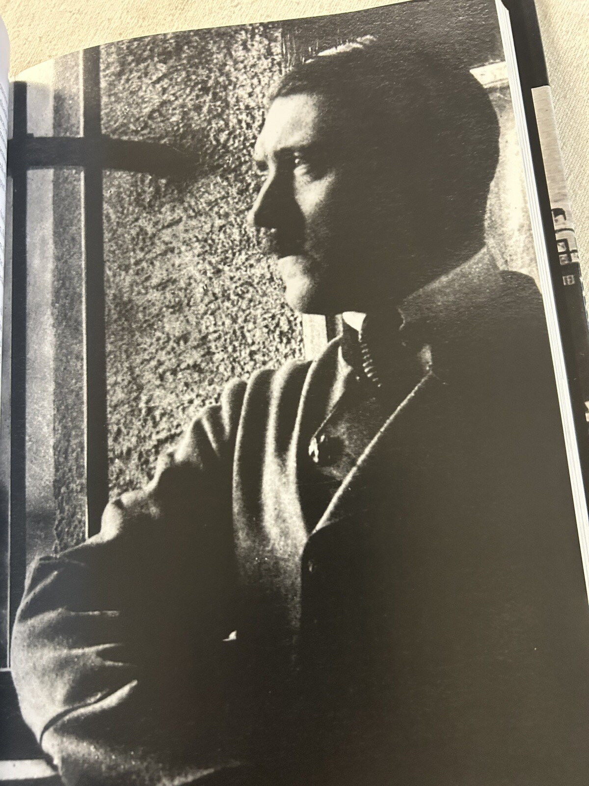 HITLER An Illustrated Life by Robin Cross - 2009 Hardcover w/DJ - WWII Book L3