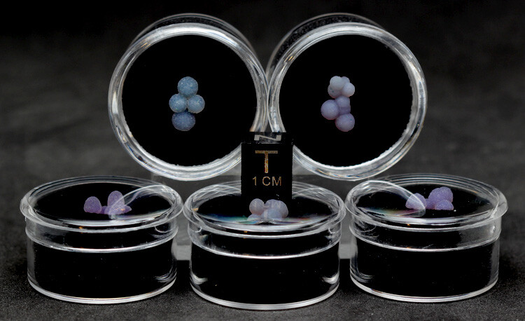 GRAPE AGATE Specimen Chalcedony Crystal Cluster Mineral INDONESIA w/ ID card