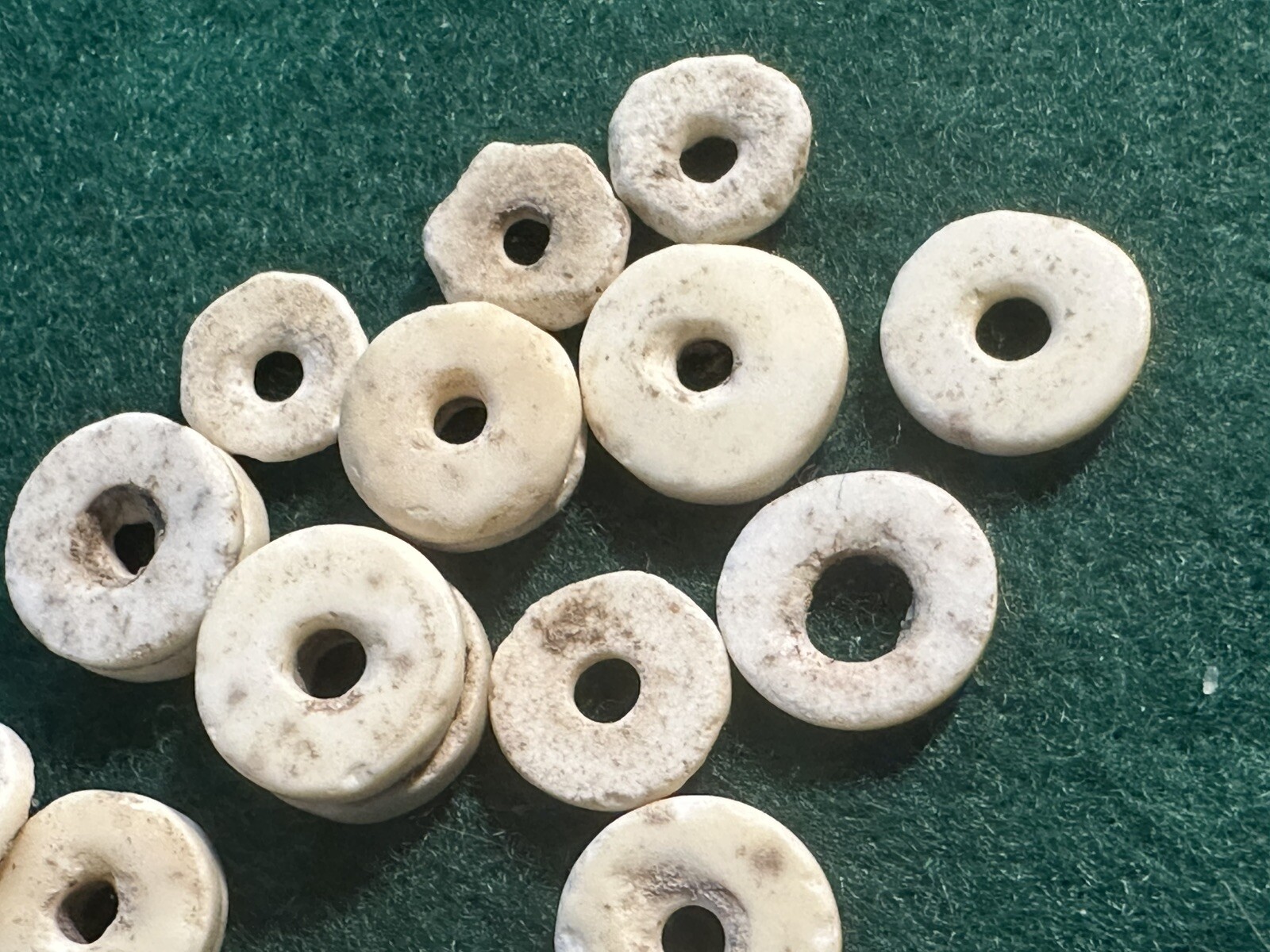 (10) Original Cherokee Indian Shell Trade Beads Ancient Artifacts Pre 1600's