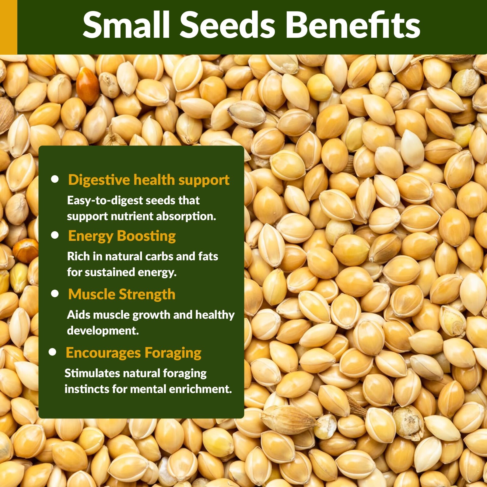 Old Potters Wildlife Organic White Millet Non-GMO USA Grown Attracts Birds 25 lb