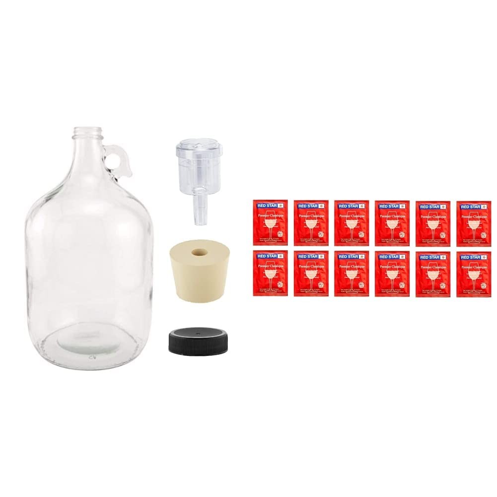 North Mountain Supply 1-Gal Glass Fermenting Jug, Airlock, Stopper, Lid