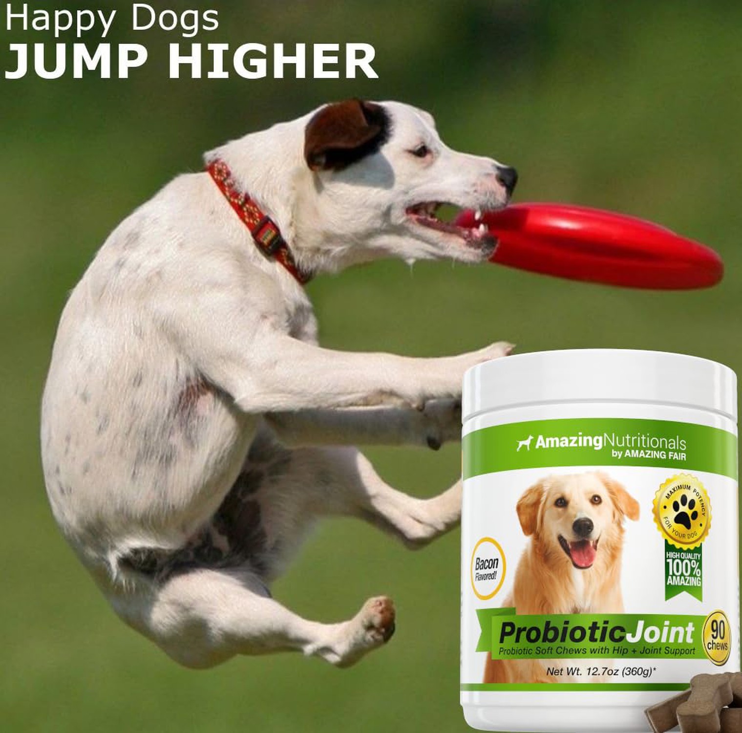 Amazing Probiotics for Dogs Eliminates Diarrhea and Gas with Hip Joint Pain R...