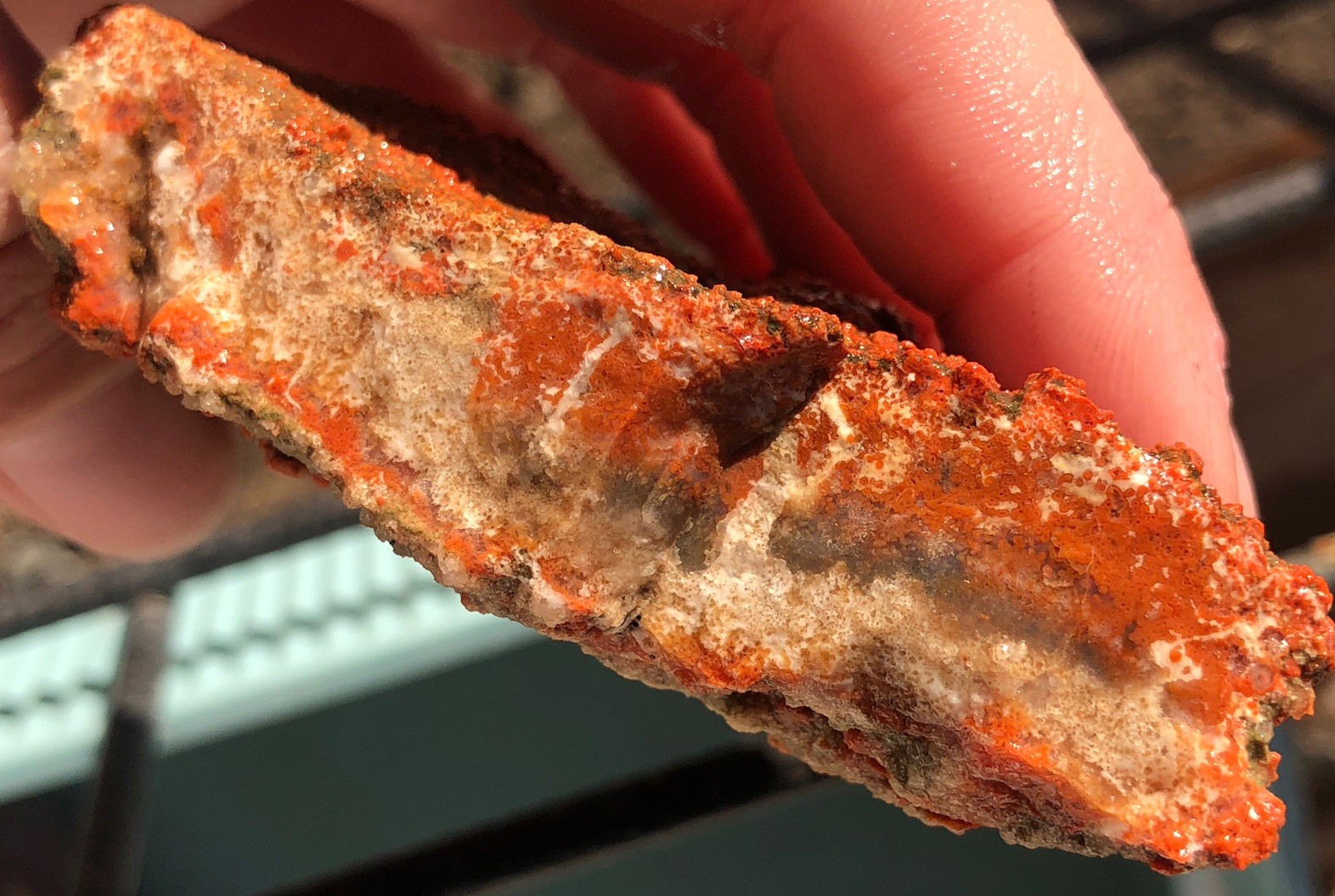 Utah Grape Agate 155g Rough Specimen Red Botryoidal Chalcedony Clear White