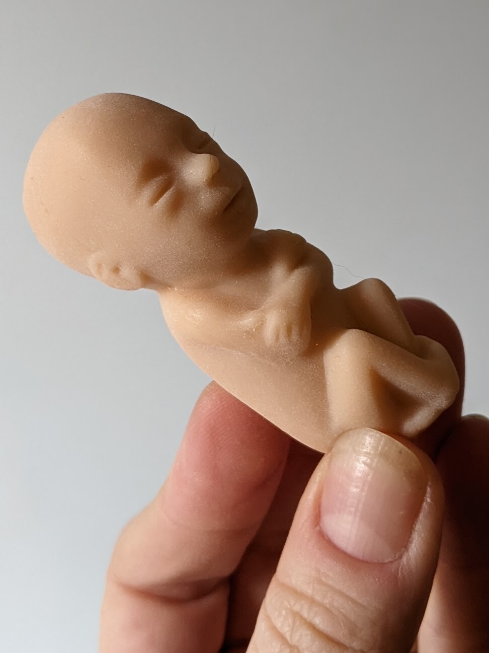 1 soft rubber model fetus, unusual medical fetal doll, abortion