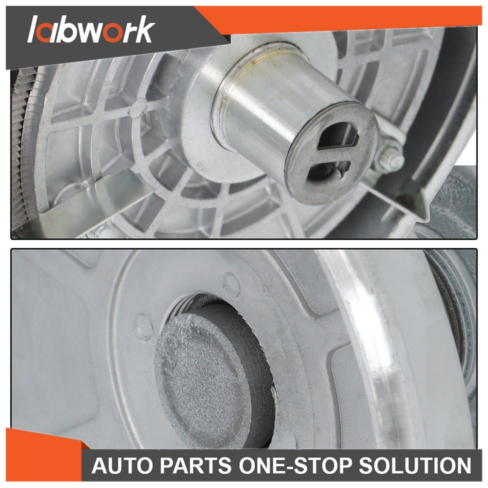 Labwork Wet & Dry Electric Grain Mill Grinder Grain Coffee Grinder Feed 3000W