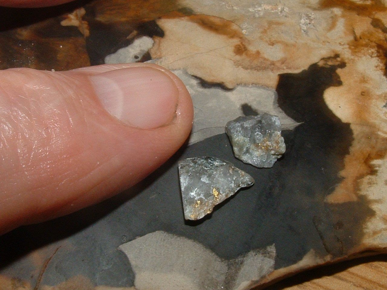 2 GOLD QUARTZ SPECIMENS .79 GRAM COLORADO NATURAL GOLD IN QUARTZ