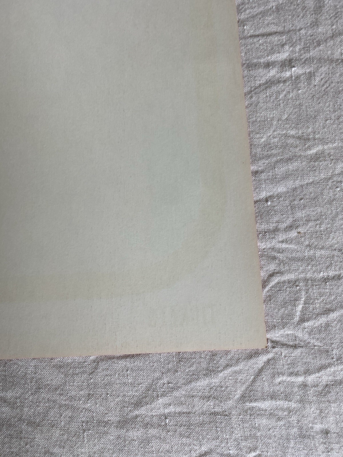 1969 Steve Miller Alice Cooper Poster Masonic Temple Portland Steve Blashfield