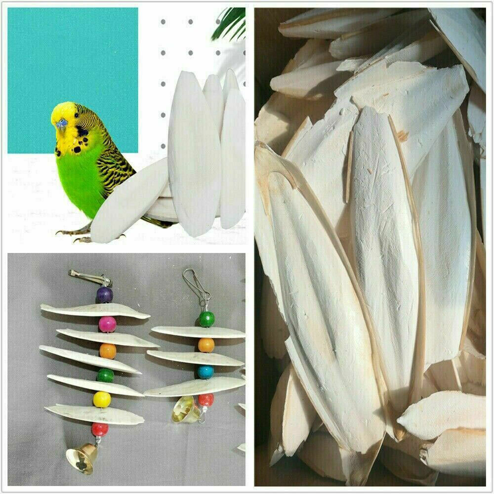 20PCS Cuttlebone Bird Parrots Cuddle Bone Turtles Tortoise Cuttlebone Holder .