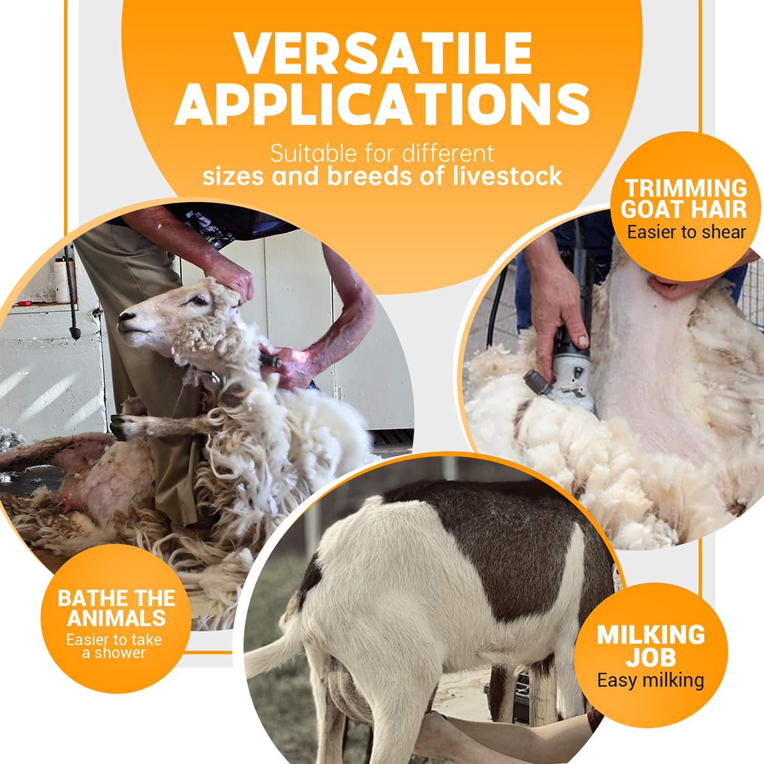 Adjustable 51x24" Metal Trimming Stand for Sheep Goat Milking Livestock Stand