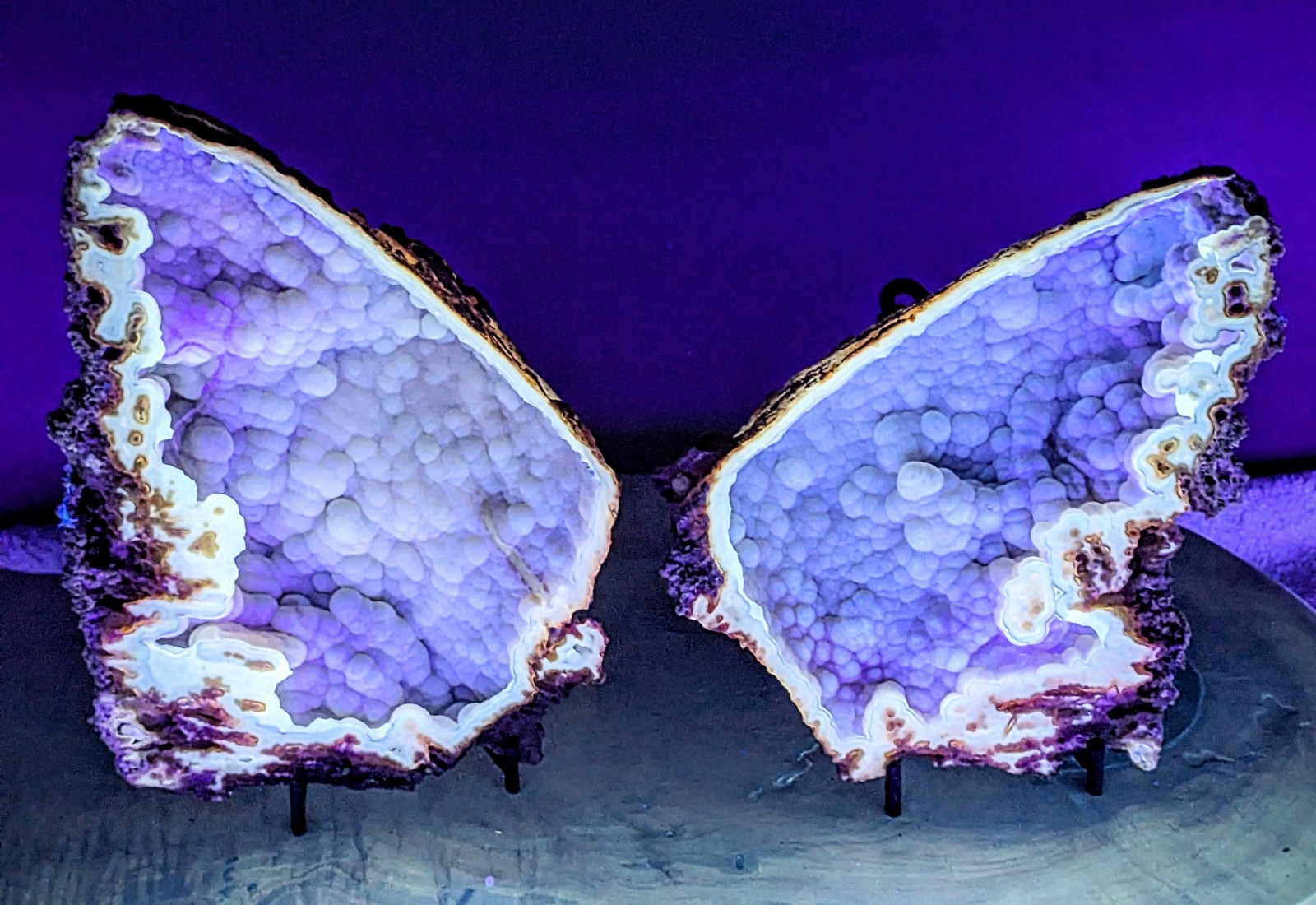 Agatized Coral Fossil Split Geode Botryoidal Blue/Violet Butterfly w/stands
