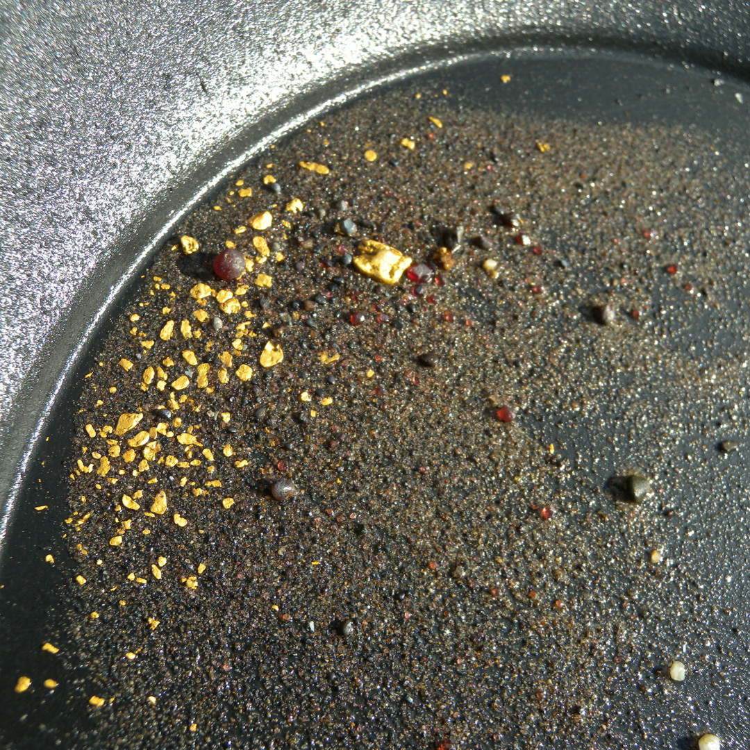 GOLD Paydirt Guaranteed Unsearched Rich with black sand + Added Gold concentrate