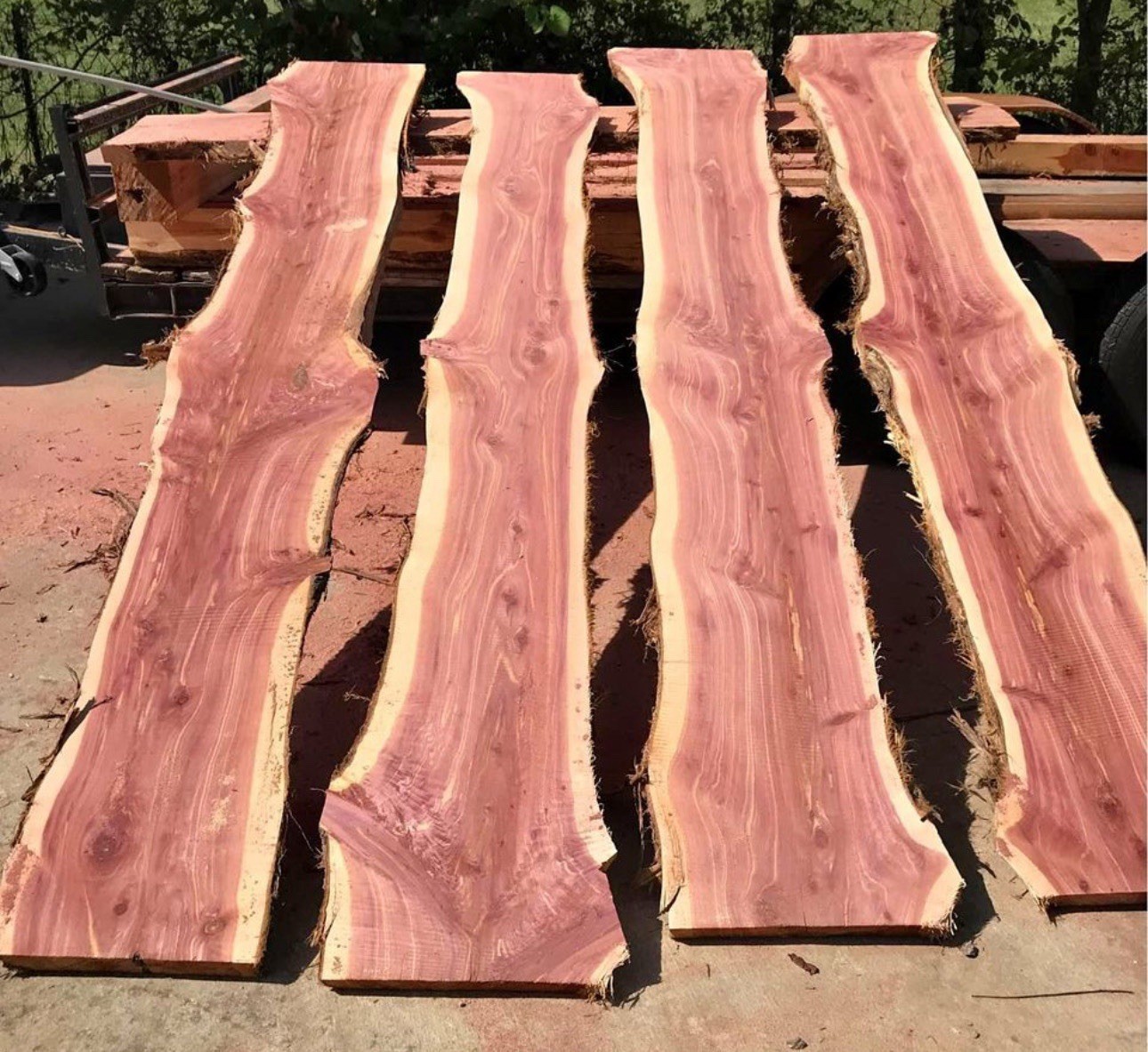 🔥 Stunning Live Edge Eastern Red Cedar – Kiln-Dried & Ready to Go!