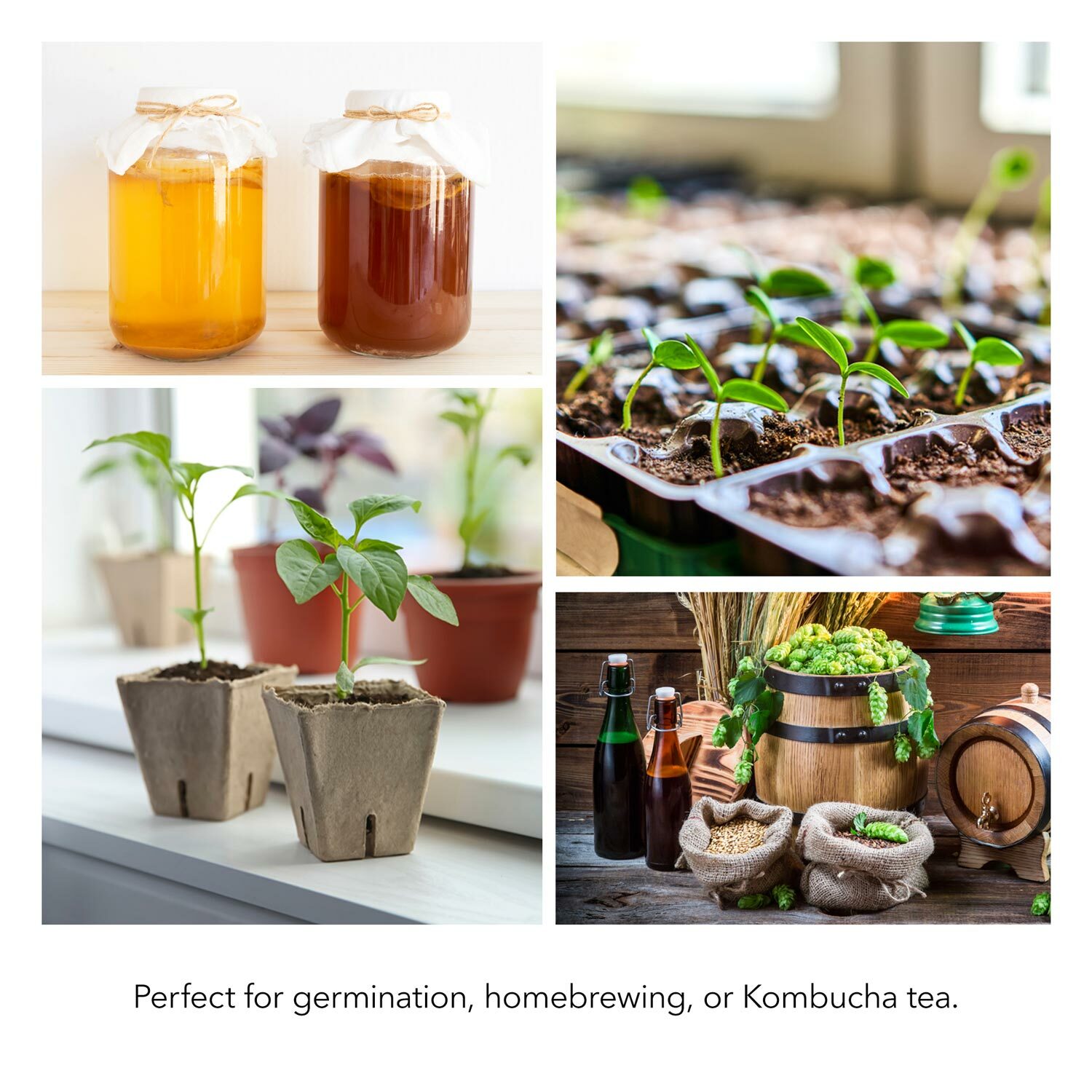 BN-LINK Seedling Heat Mat Warm Hydroponic Heating Pad Waterproof 10" x 20.75"