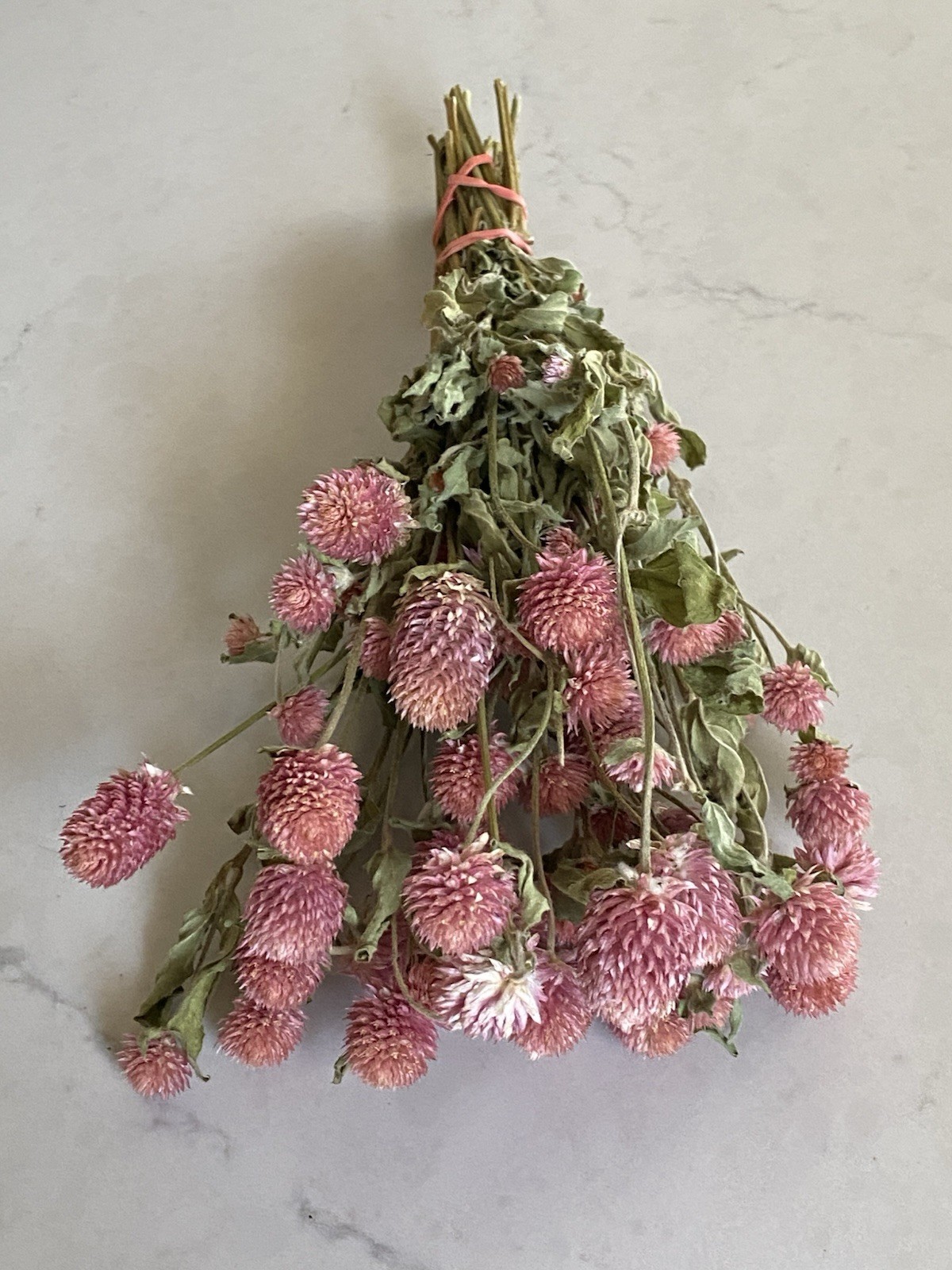 PINK Dried GLOBE AMARANTH Bunch BOUQUET Bundle DRIED FLOWERS Auc#2