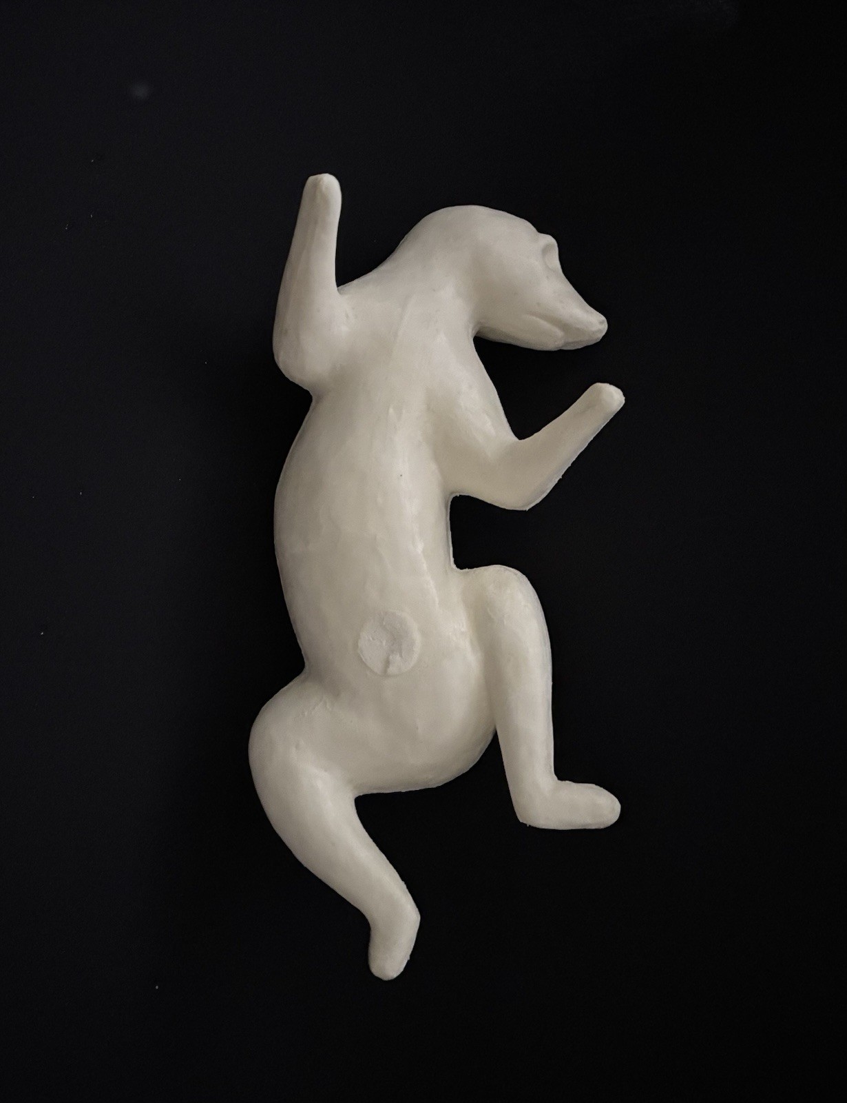 Taxidermy Form Raccoon Climbing Up Left Turn Closed Mouth 1 3/4 X 13 1/2 X 21