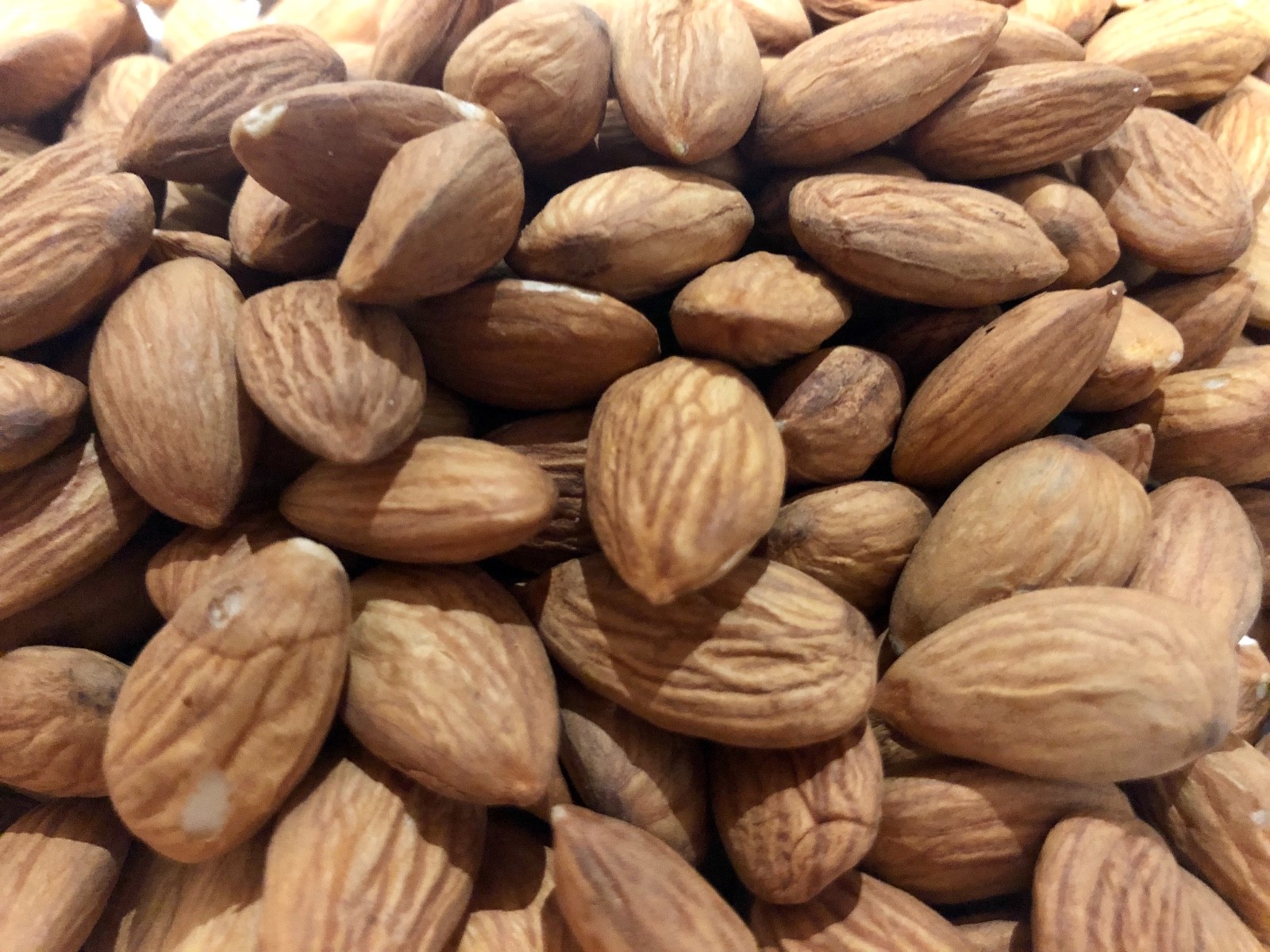 California Raw Whole Almonds 0.5 - 20 LB FREE SHIPPING