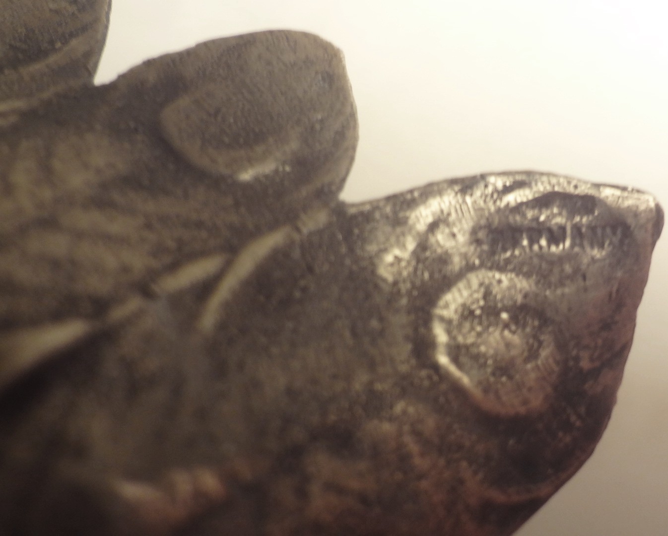 PR. ANTIQUE GERMAN SILVER full figure PEACOCK BON-BON serving TRAYS- HALLMARKED