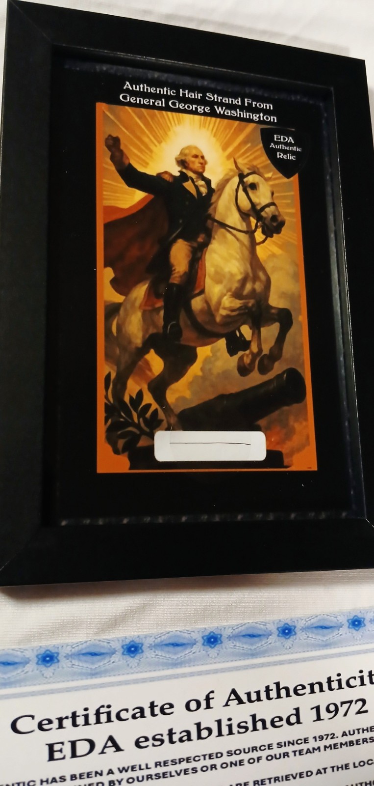 Authentic George Washington Hair Strand Relic Memorabilia Collectible Rare w/COA