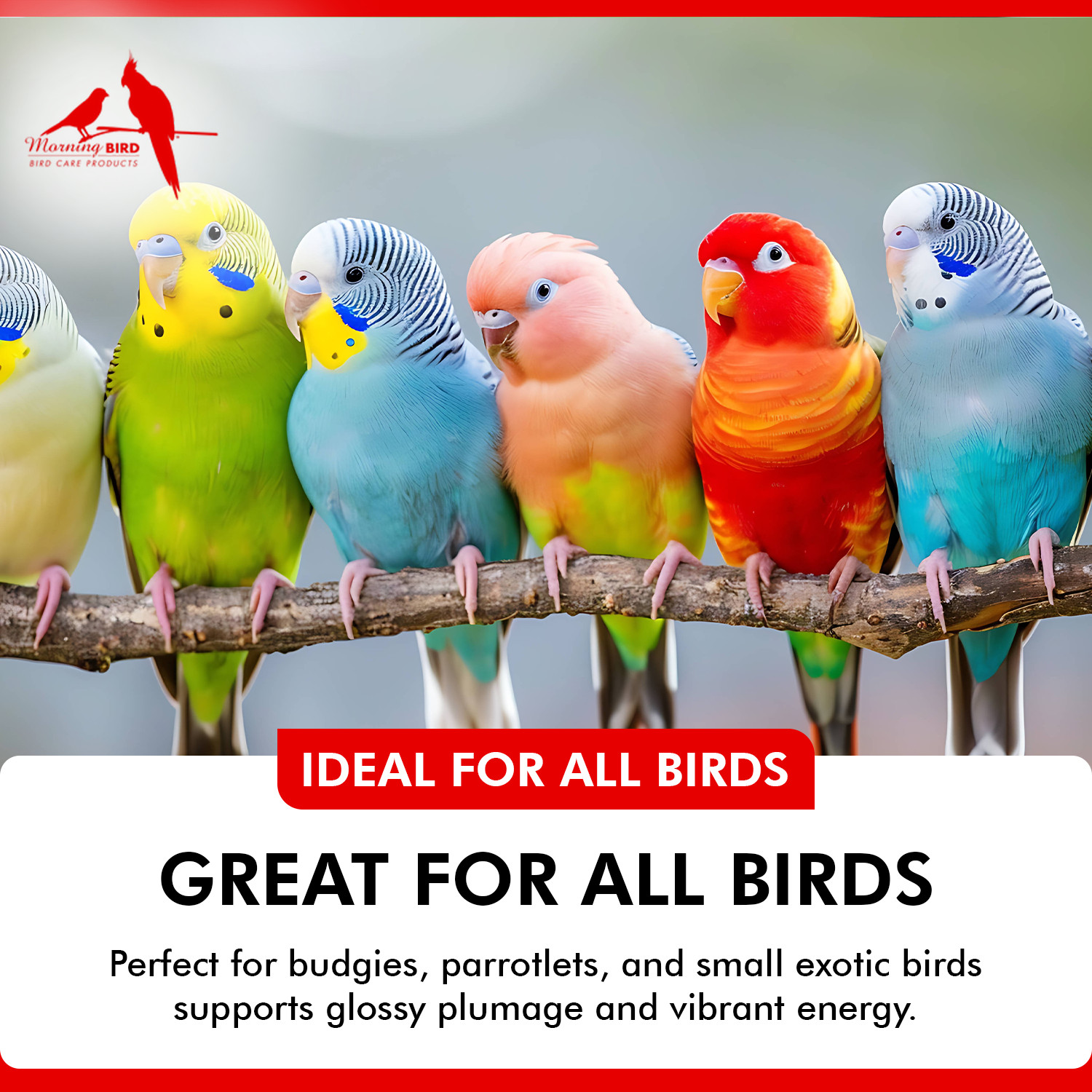 Morning Bird Feather Guard Spray for Feather Picking & Dry Skin for Birds