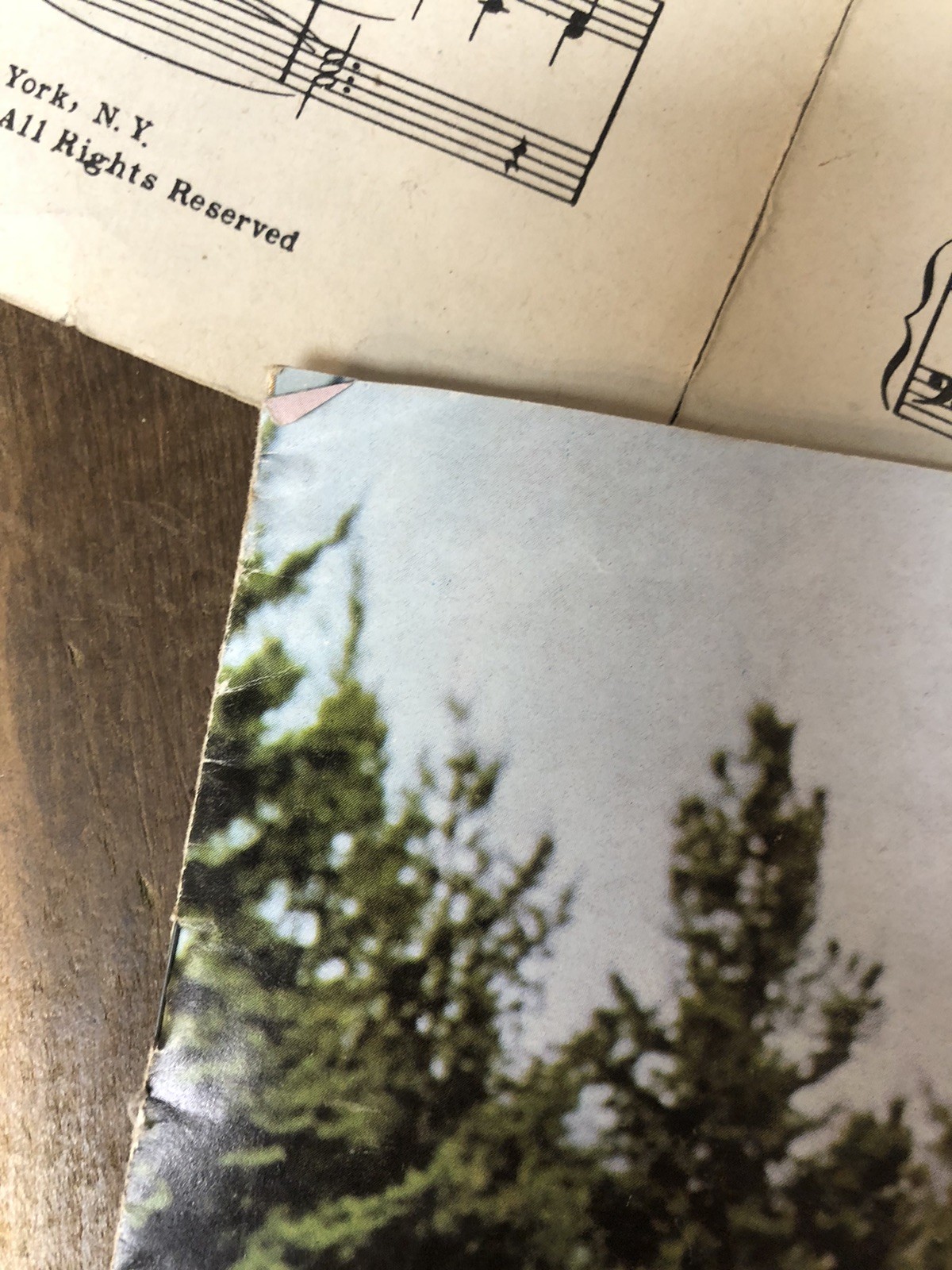 1965 Chevrolet Chevelle Malibu Super Sport SS Wagon 300 Original Sales Brochure