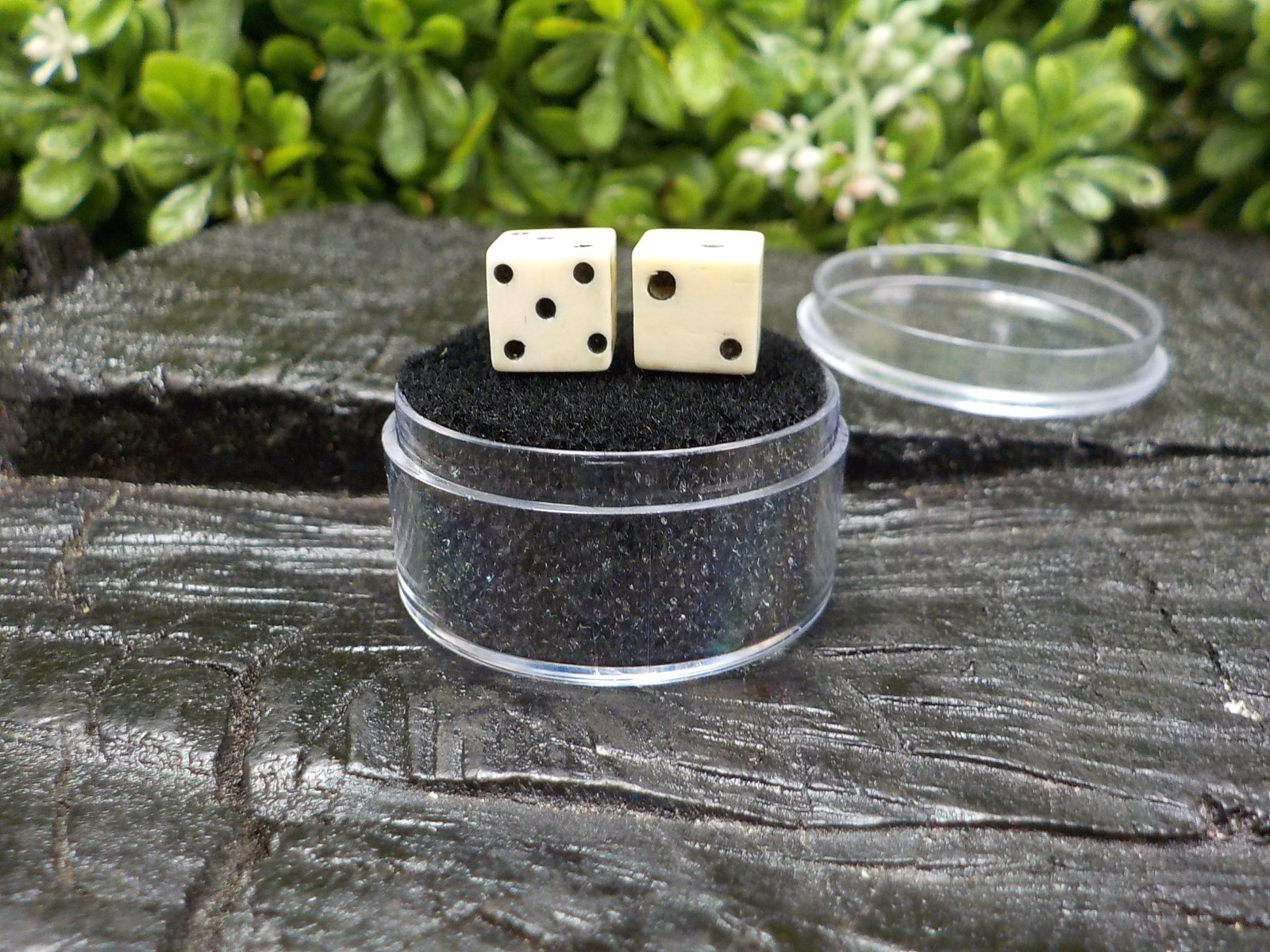 Old Rare Vintage Antique Civil War Relic Bone Dice Set Extremely Rare Free Case