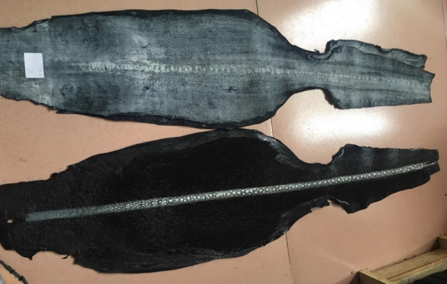 1PCS Unpolished Stingray Shagreen Fish Hide Skin Leather DIY Pelt Various Colors