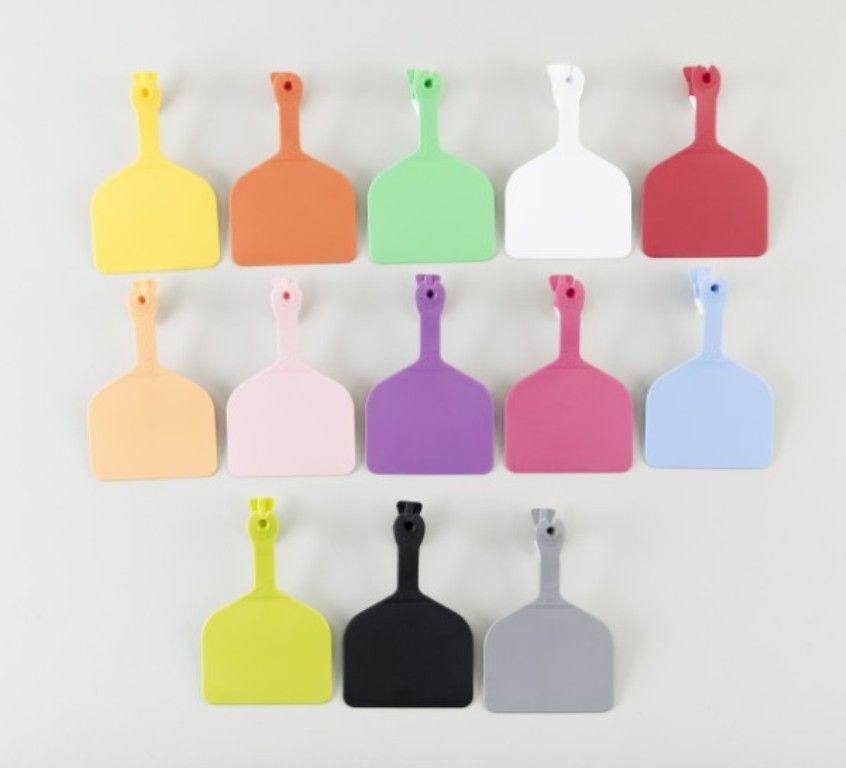 Z Feedlot Cattle Cow Blank Ear Tags LT. BLUE 50 Count Identification Livestock