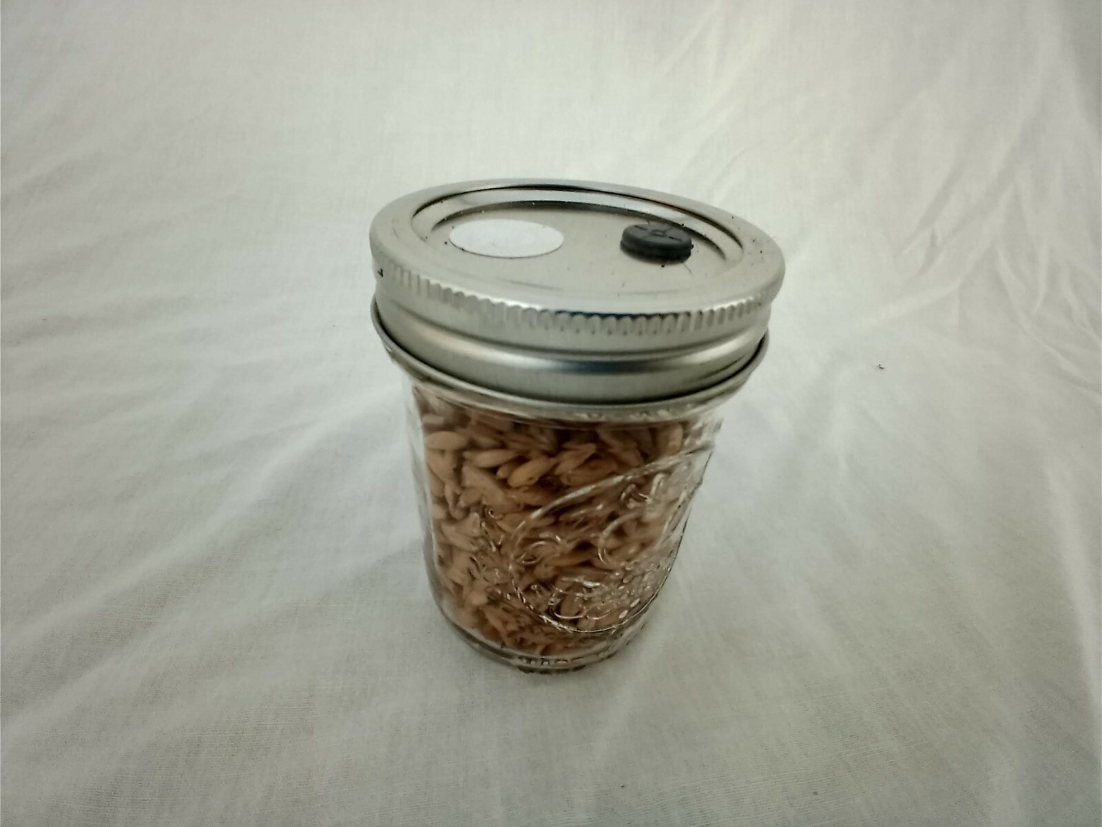 1/2 PINT Mushroom Jars READY Sterilized Substrate Grain Grow Fast SHIP [C]