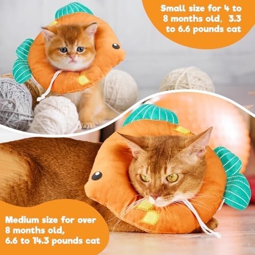 Cat Cone, Adjustable Cat Recovery Collar, Extra Soft Cat (Goldfish, M)