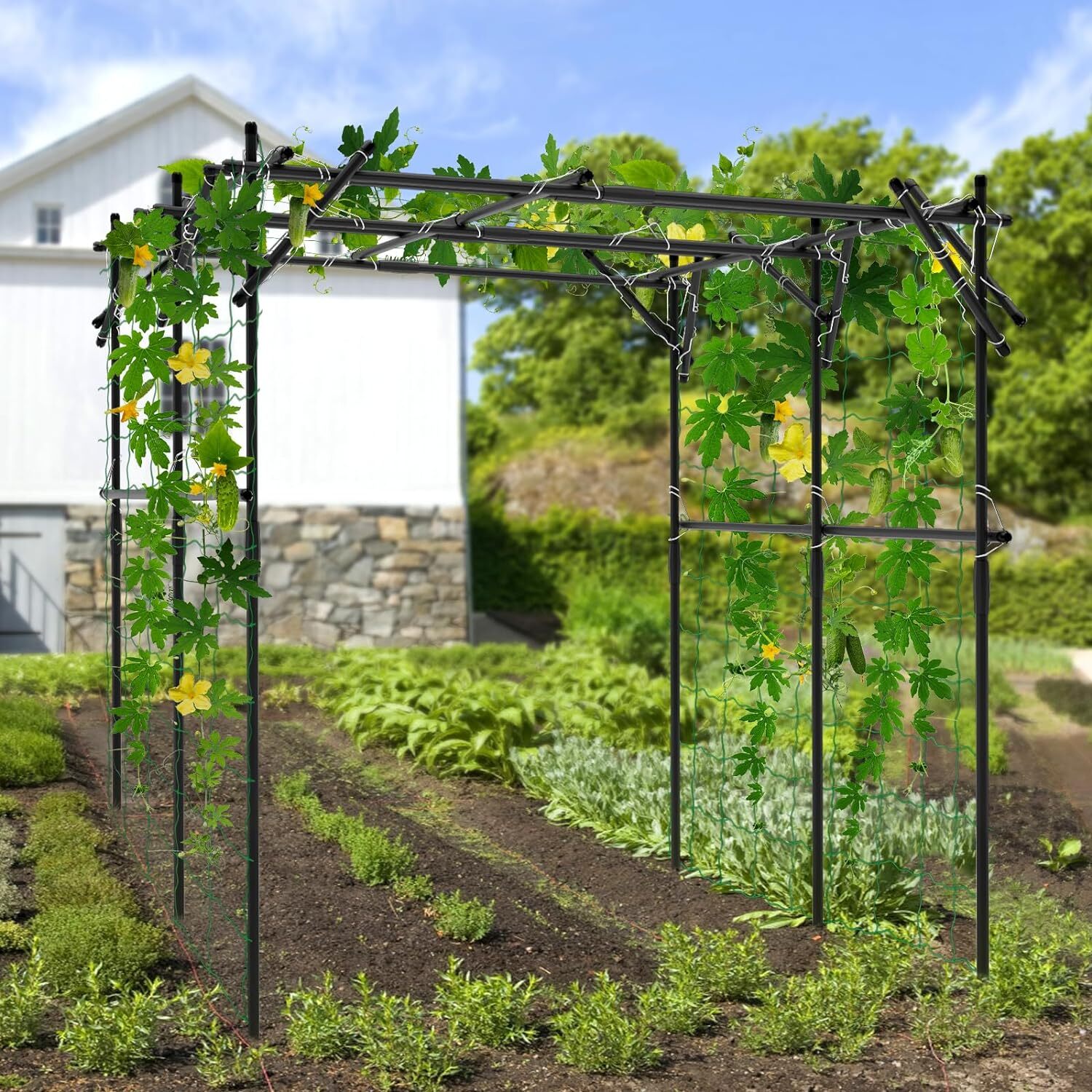 Garden Arch Trellis for Climbing Plants, 79'' Lx79''Wx79'' H Arch Arbor Trellis