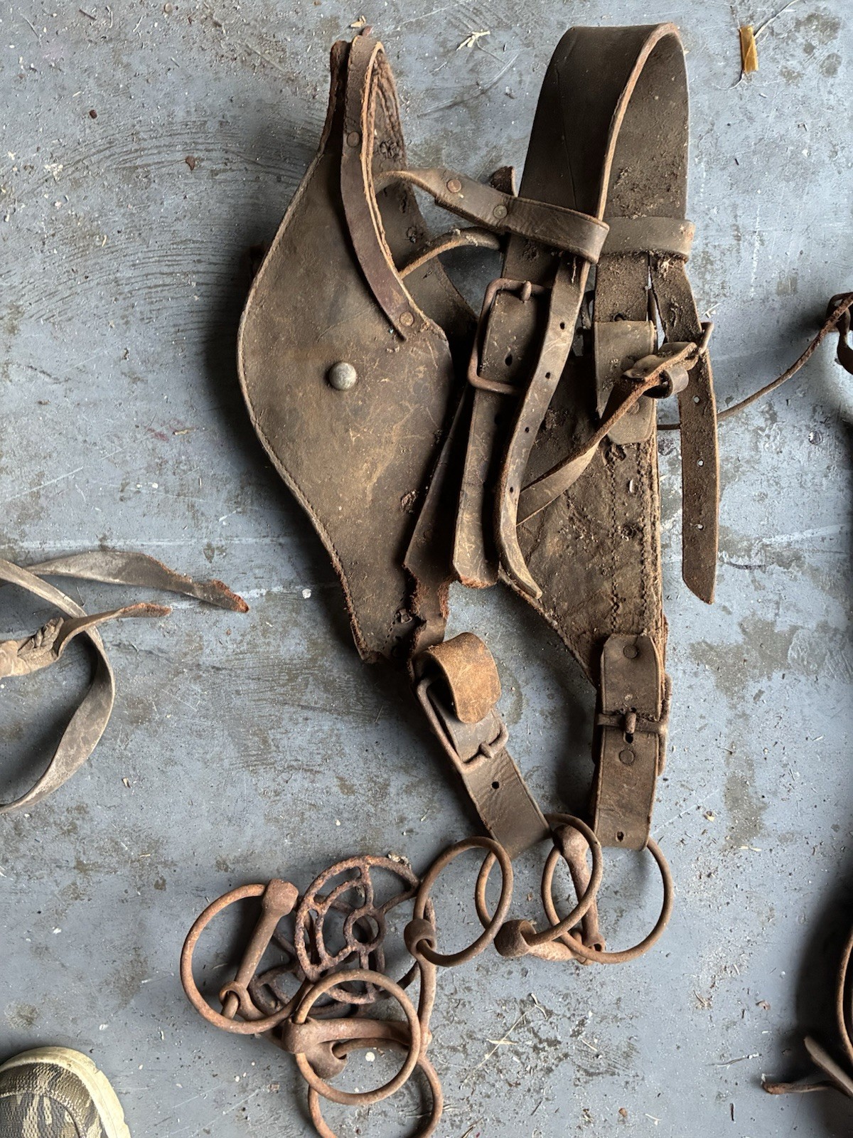 Vintage Horse Tack Blinders Bit Silester Hackamore