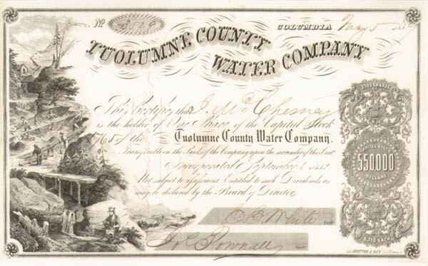 Tuolumne County Water Co. - Stock Certificate - Mining Stocks