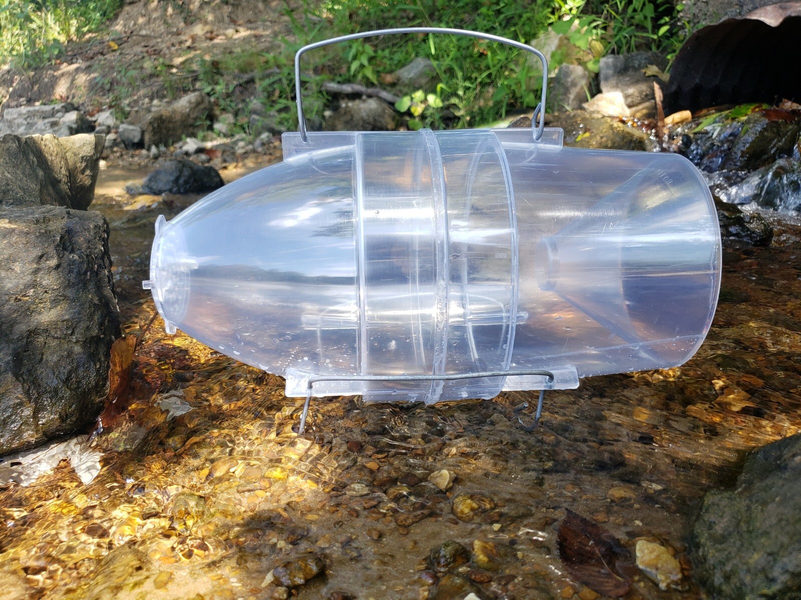 Clear Plastic minnow trap with free shipping in the USA