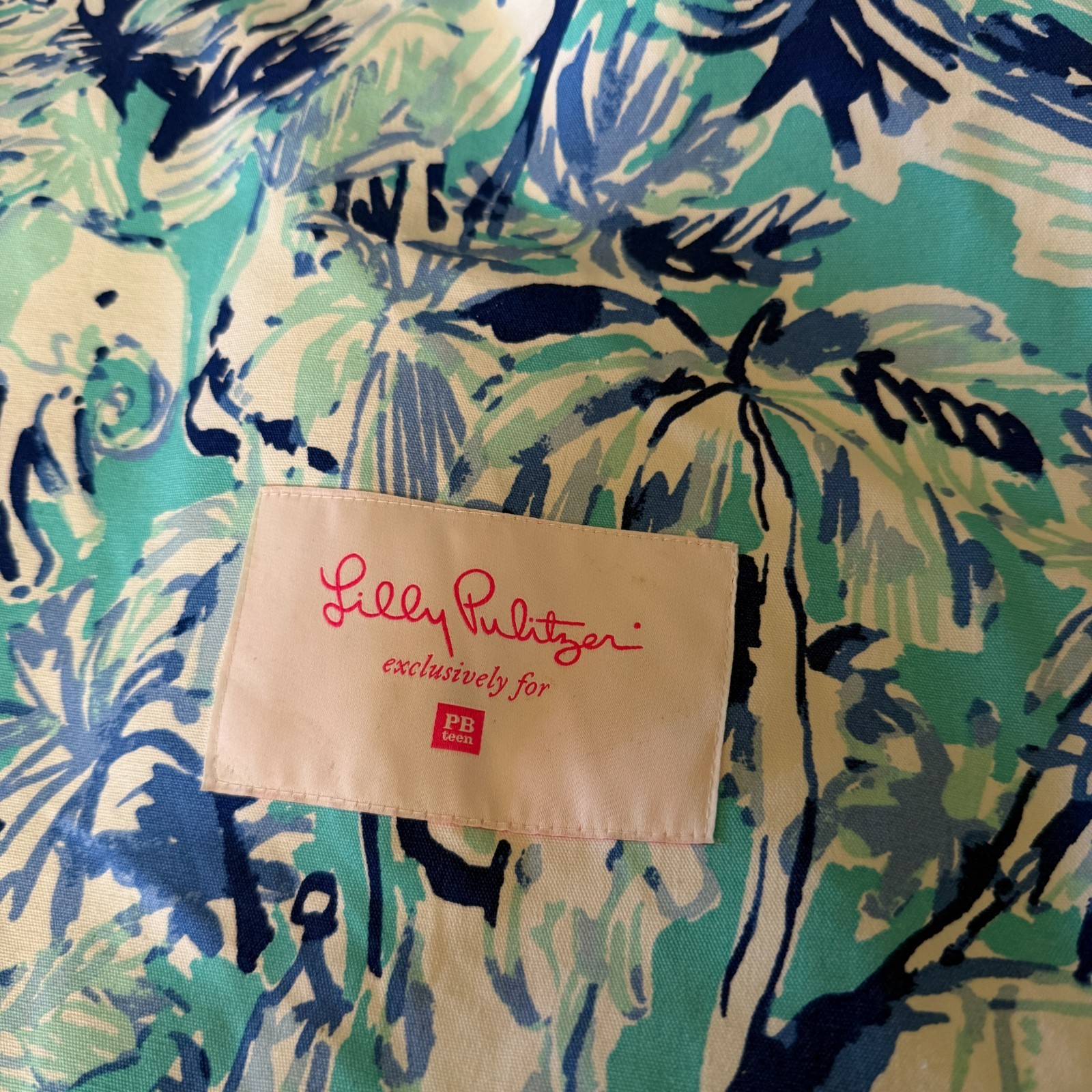 Pottery Barn Lilly Pulitzer Bean Bag Chair Elephant Appeal Slipcover with Insert