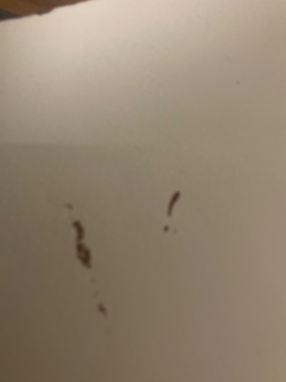 henry hill goodfellas Signed Original Goodfellas Painting TANPA ZOO COA ON BACK