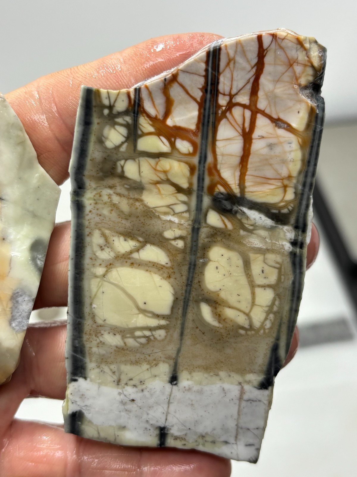 Picasso Marble (Jasper) Slabs Cabbing Lapidary Utah Combo Ship Avail