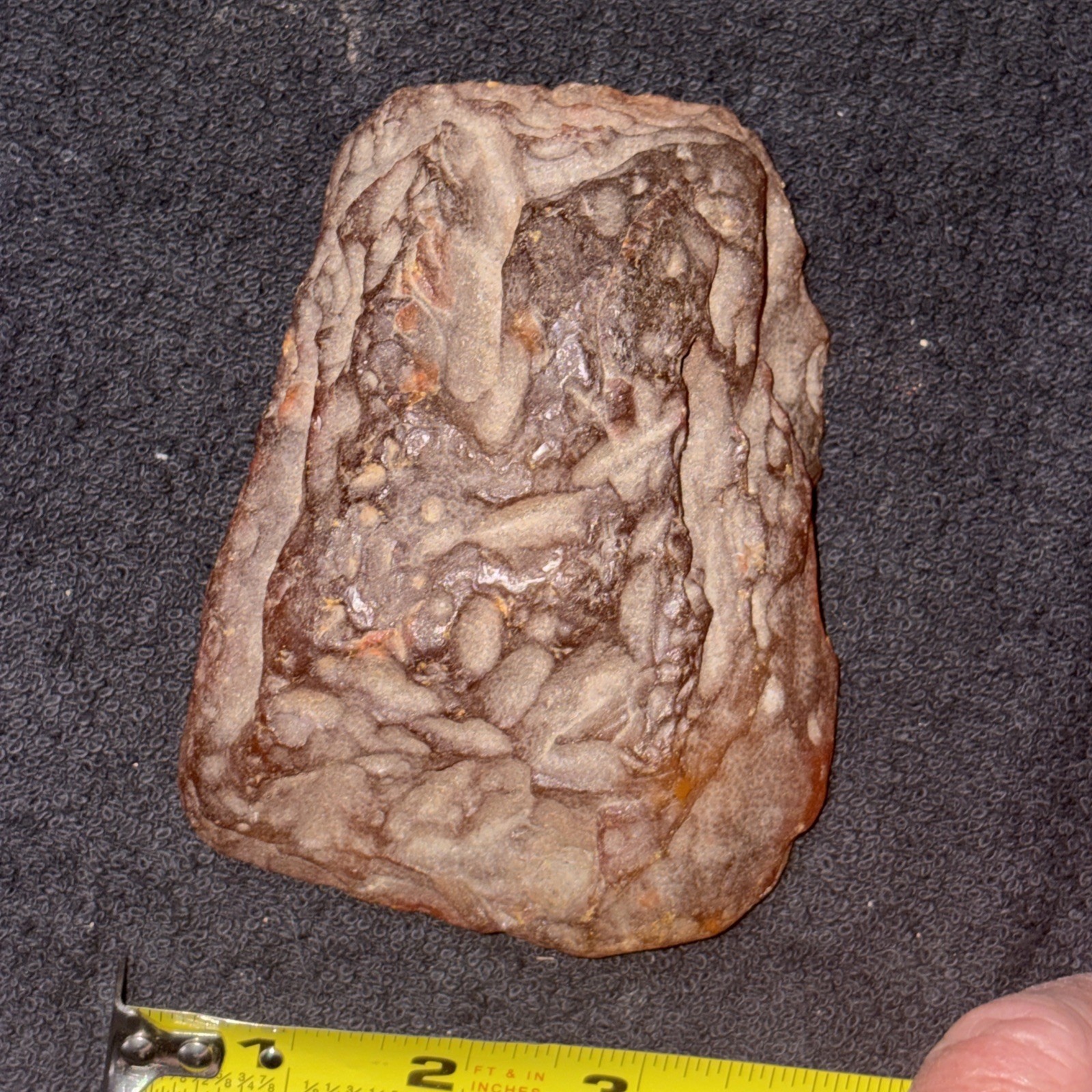 Huge Piece Of Baltic Amber. 5+ Inches Long 3+ Inches Wide Has Not Been Peered In