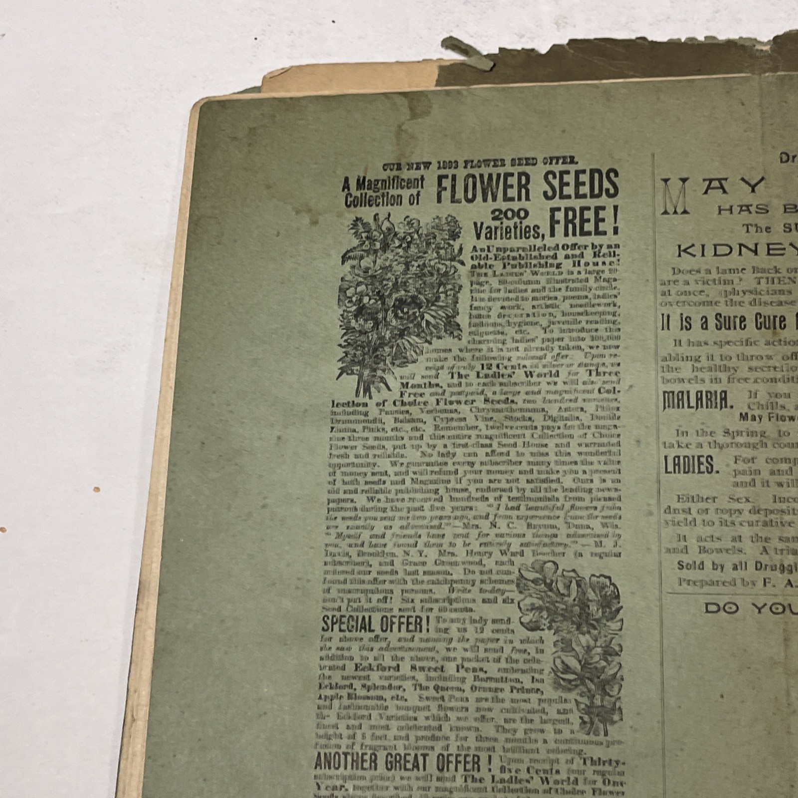 1898 Manual of Guard Duty, United States Army - See Pictures*