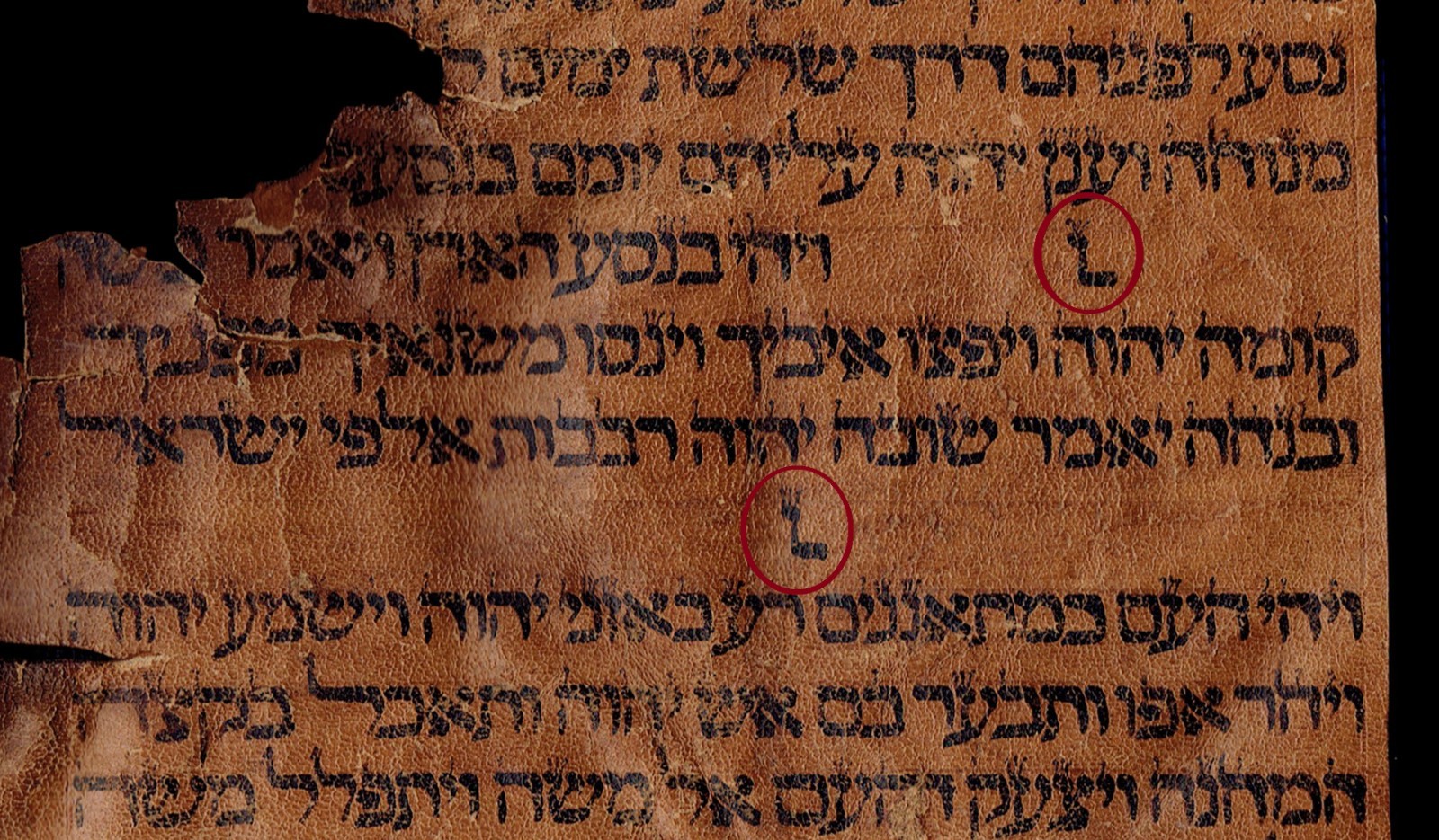 Rare 15thC Spanish Torah Fragment - Pre-Expulsion Deer Parchment - Inverted Nun