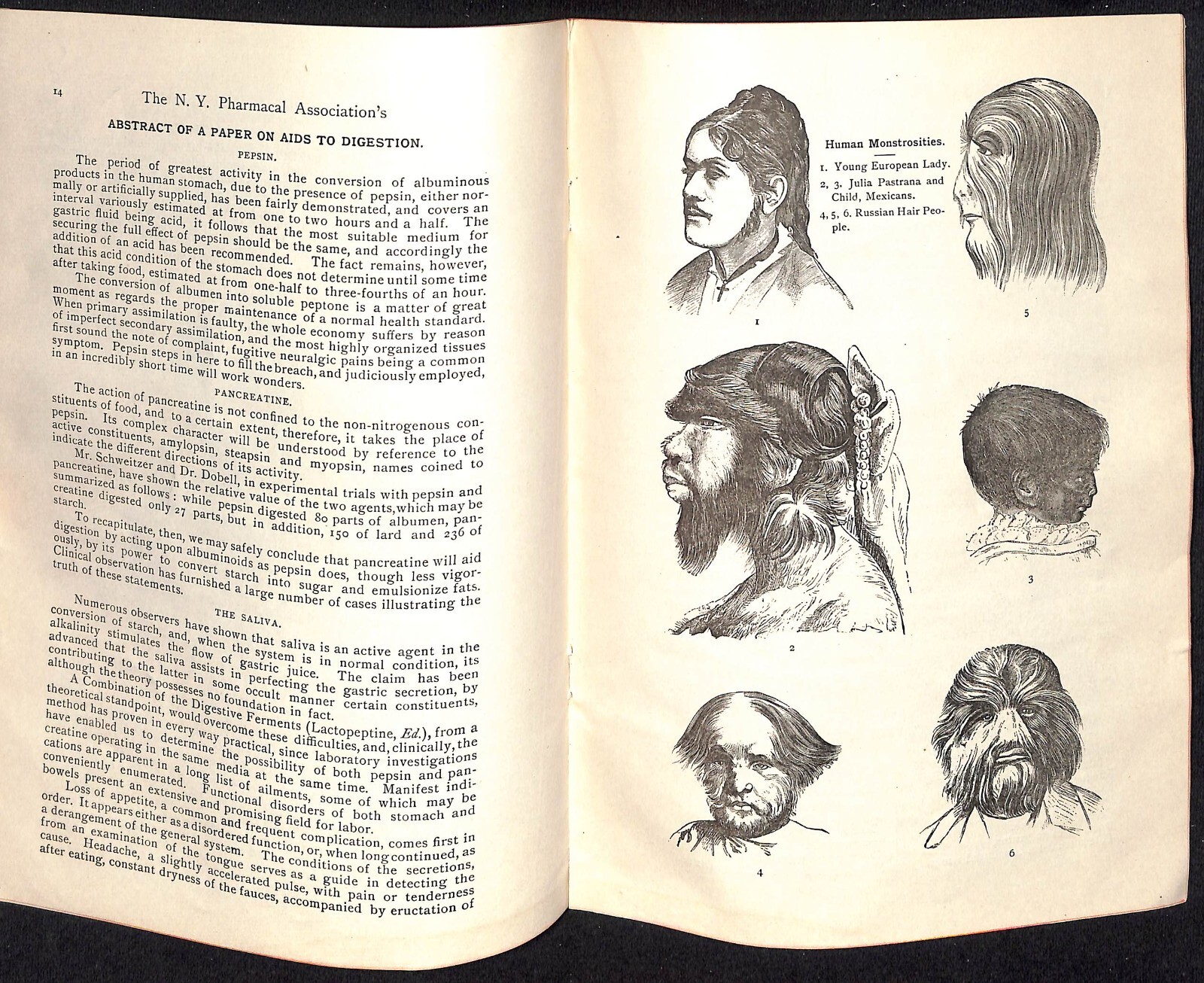 New York Pharmacal Association "Lactopeptine Medical Annual" 1889 32pp Scarce