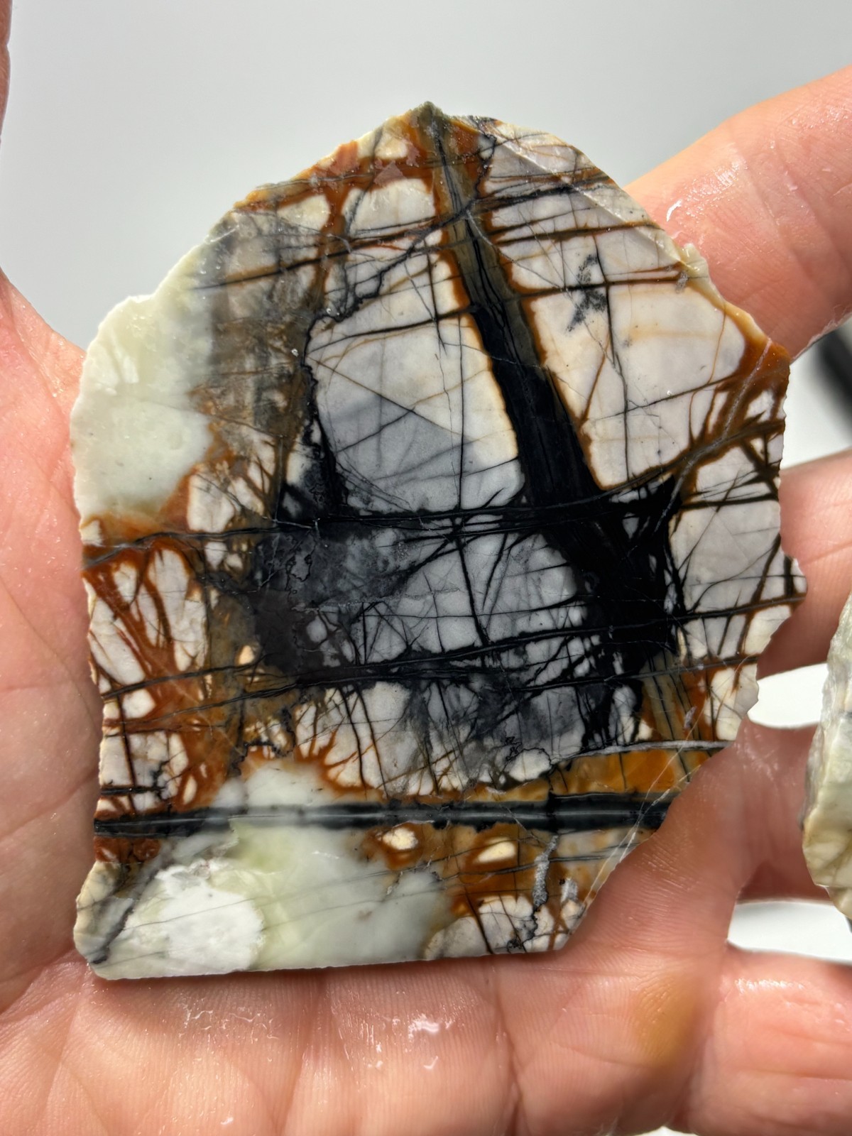 Picasso Marble (Jasper) Slabs Cabbing Lapidary Utah Combo Ship Avail