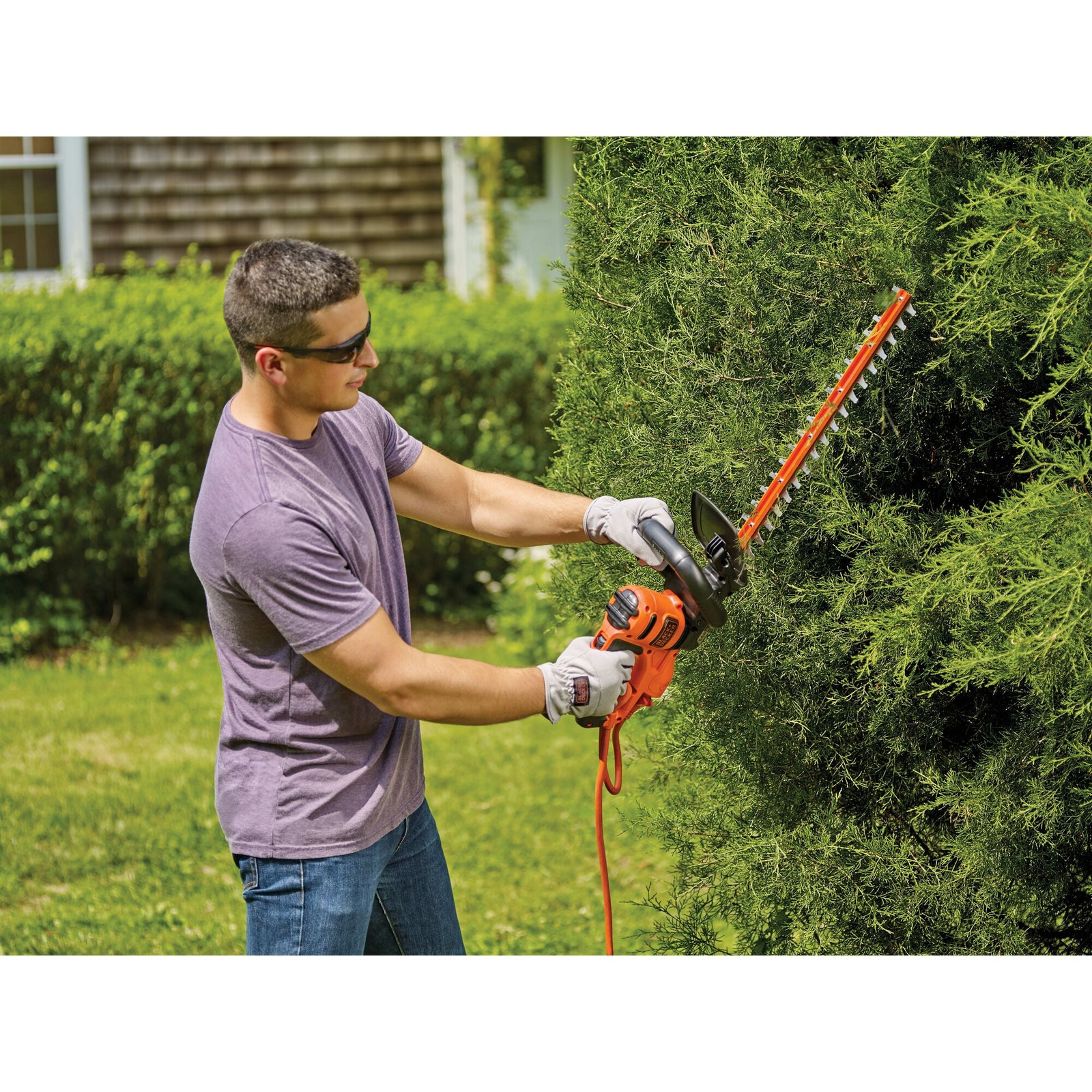 BLACK+DECKER Electric Hedge Trimmer, 22-Inch - BEHT350