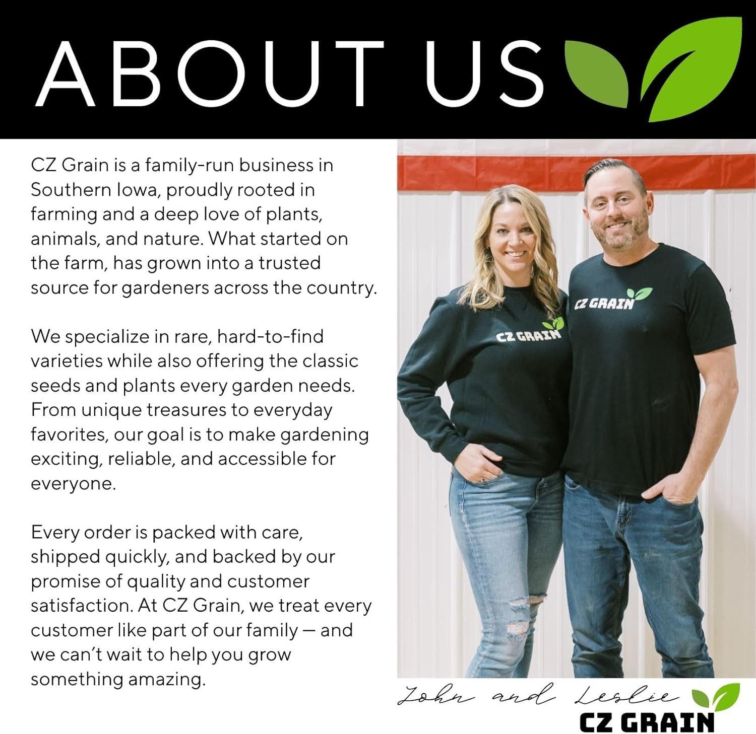 Blue Angel Giant Hosta Plant for Growing - Hosta Plant - Perennial 3 Roots